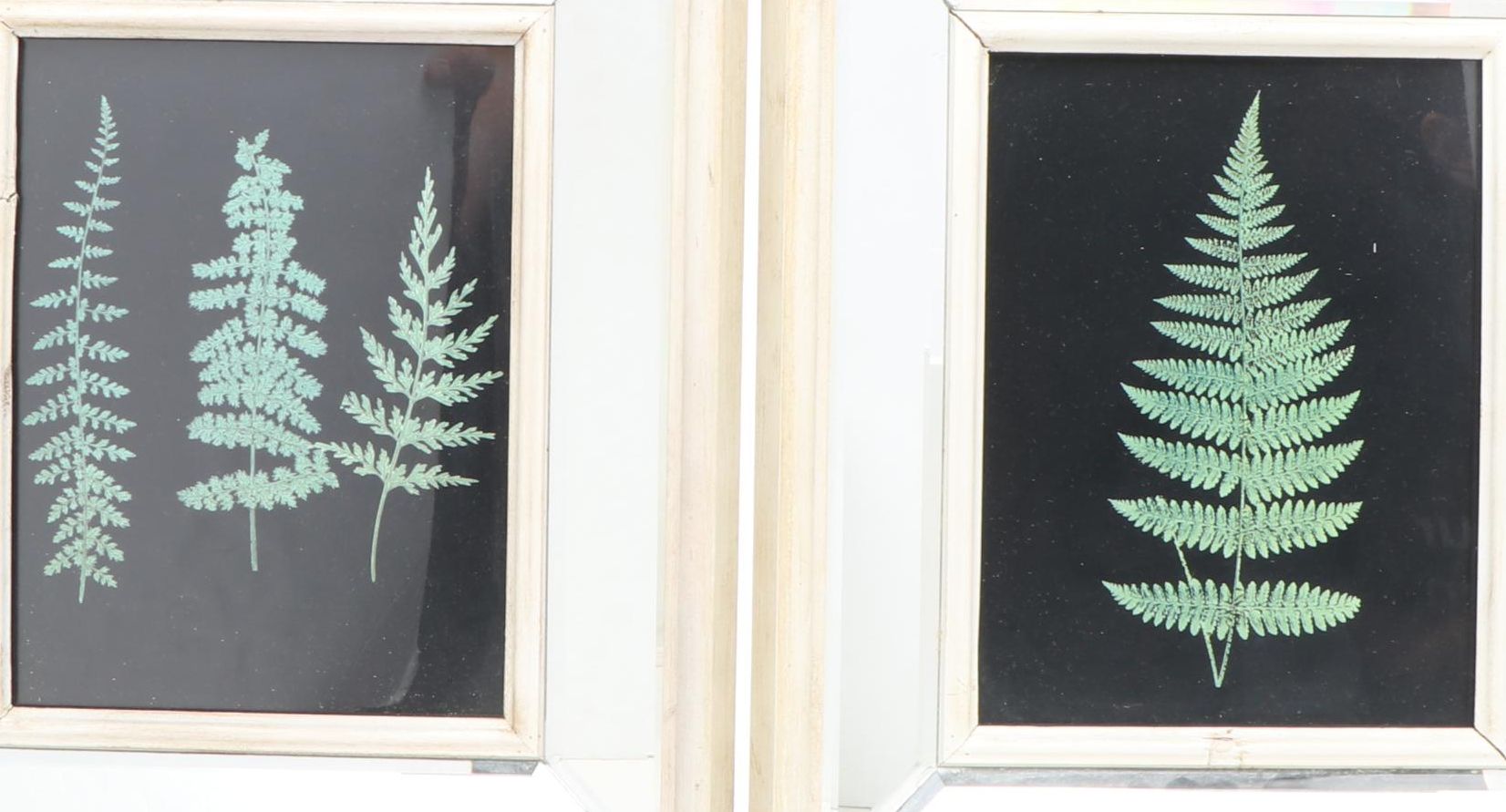 Wood Framed Mirrors with Foliage Art