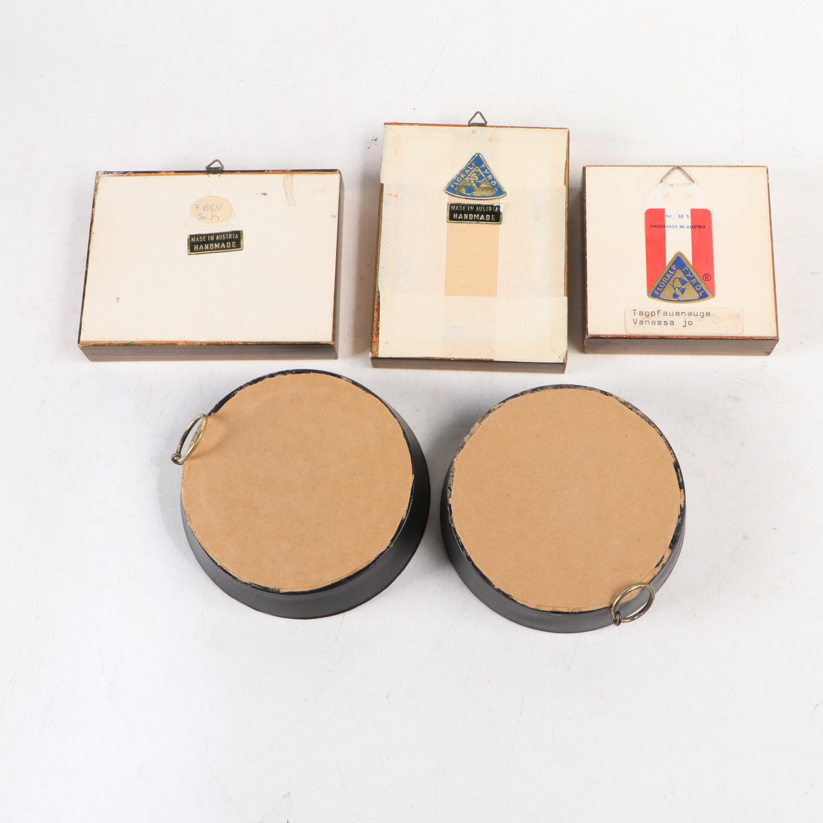 Taxidermy Butterflies with Dried Flower Framed Art