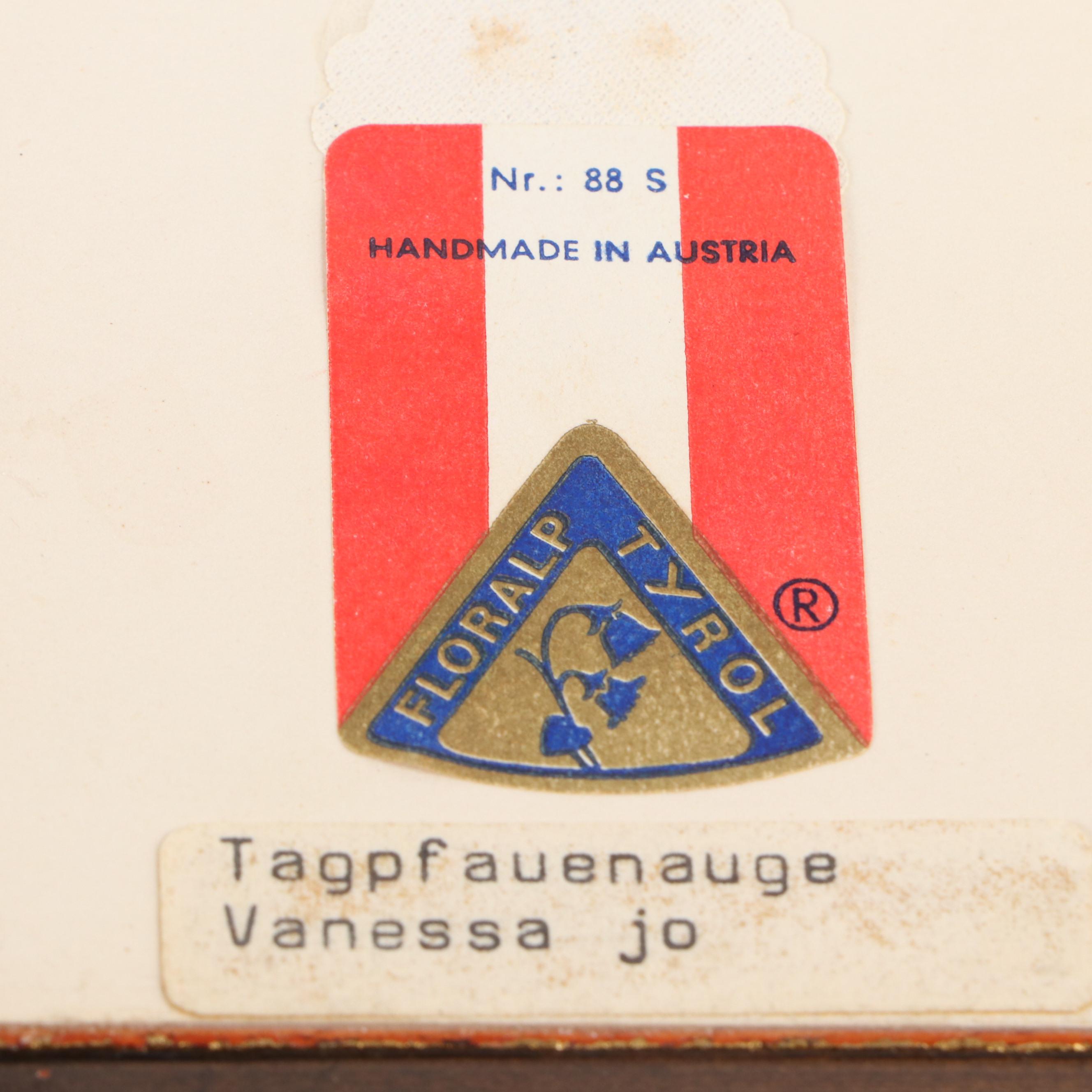 Taxidermy Butterflies with Dried Flower Framed Art