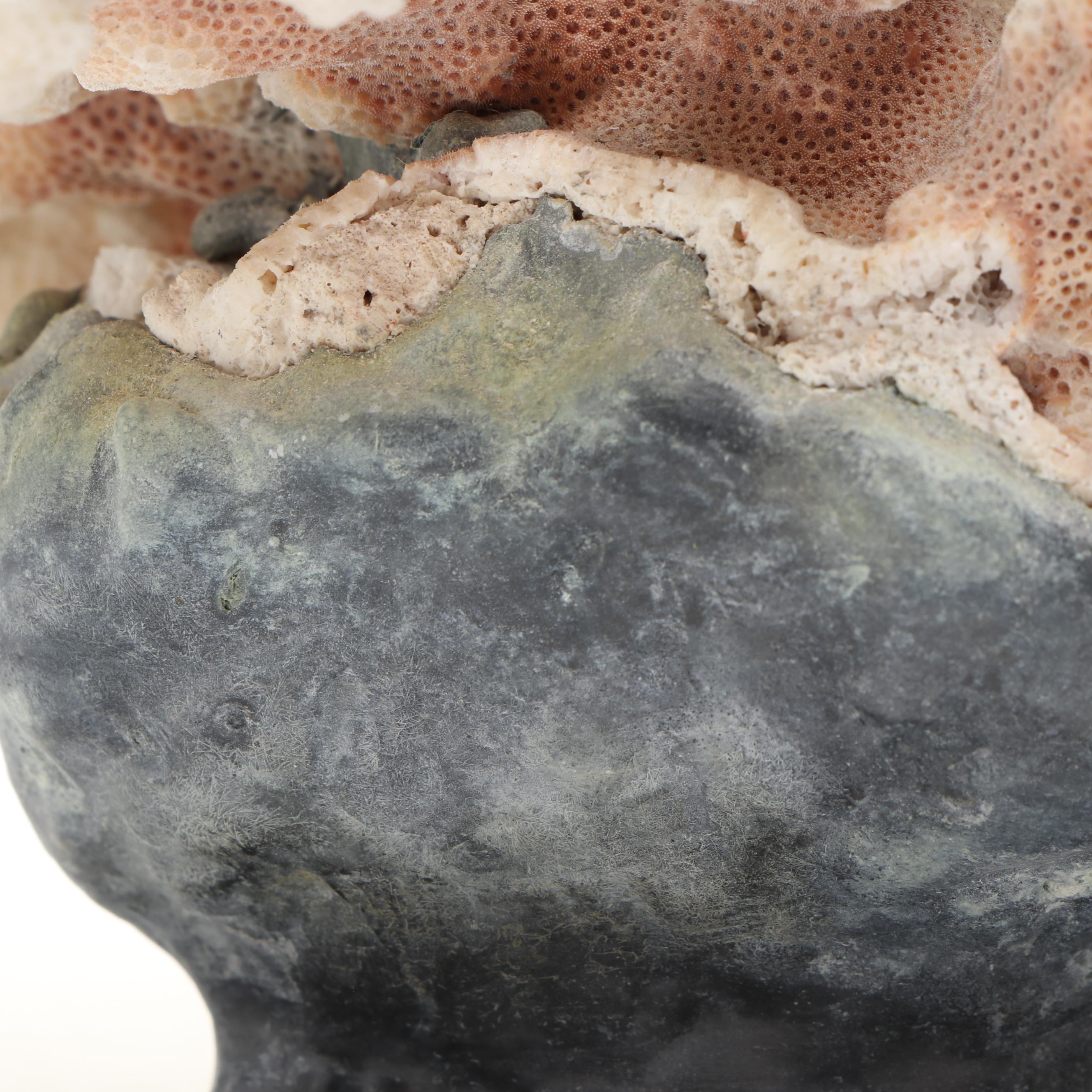 Gregory Higgins Signed Fossil Coral and Cast Metal Marine Sculpture