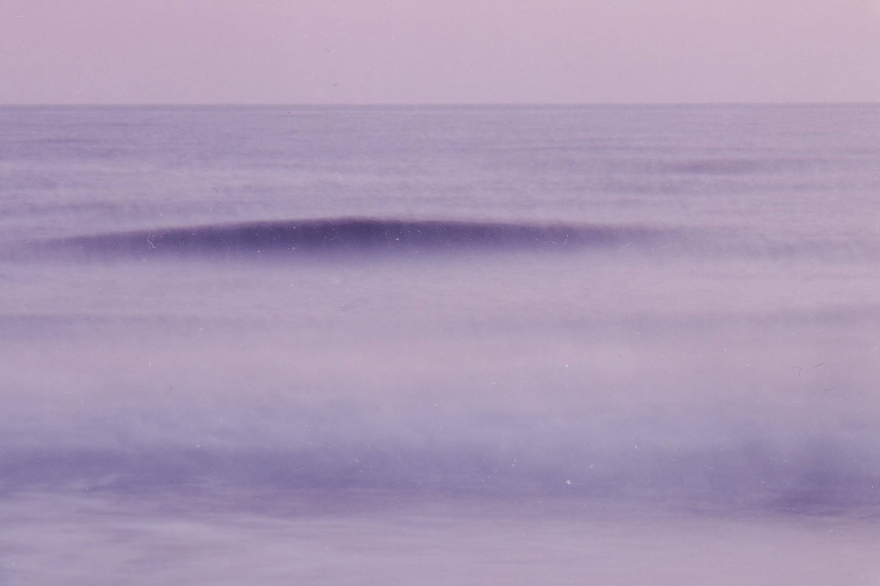 D.S. "Soft Wave" Purple Tinted and Blurred Photograph, 1989