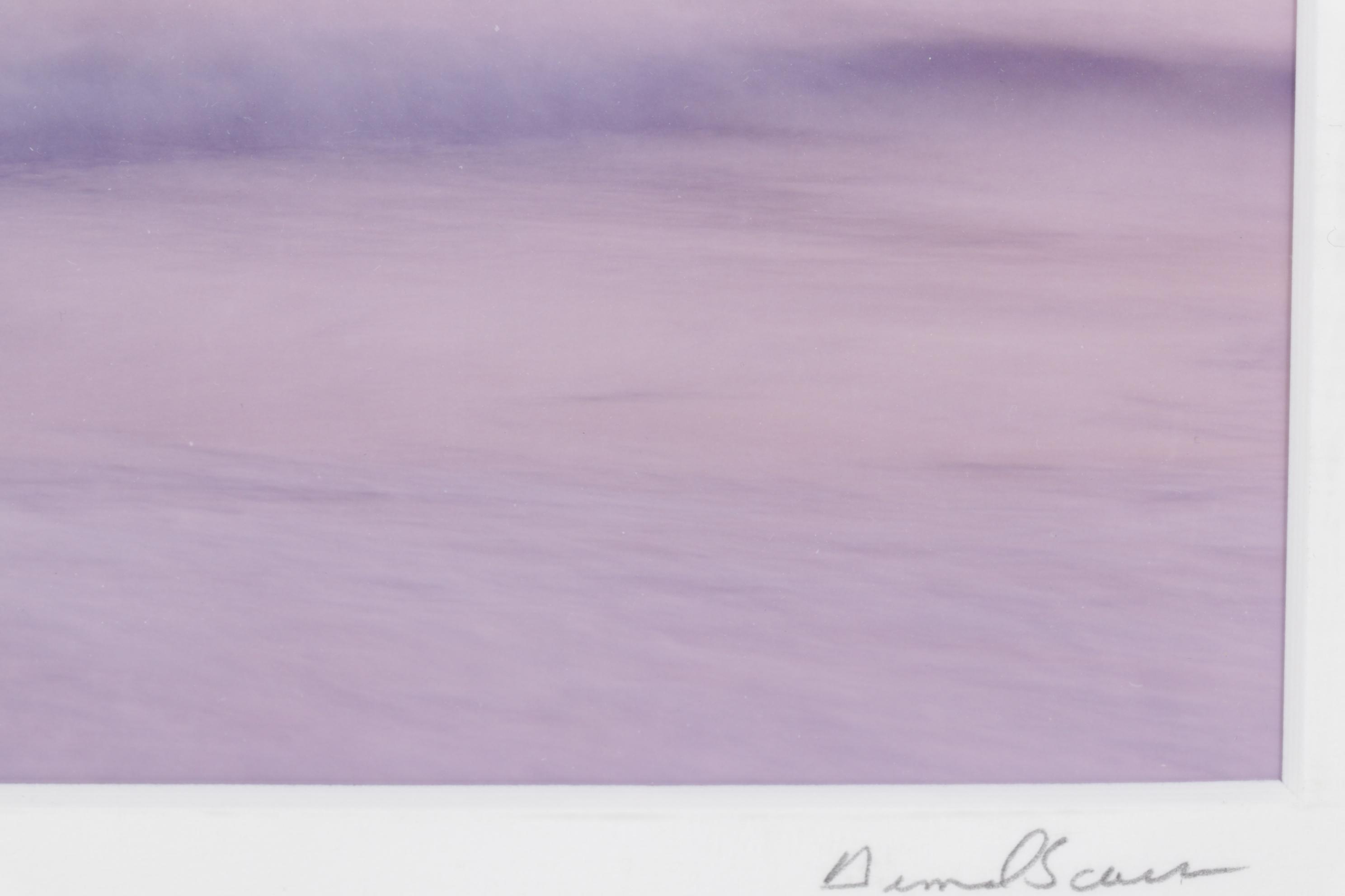 D.S. "Soft Wave" Purple Tinted and Blurred Photograph, 1989