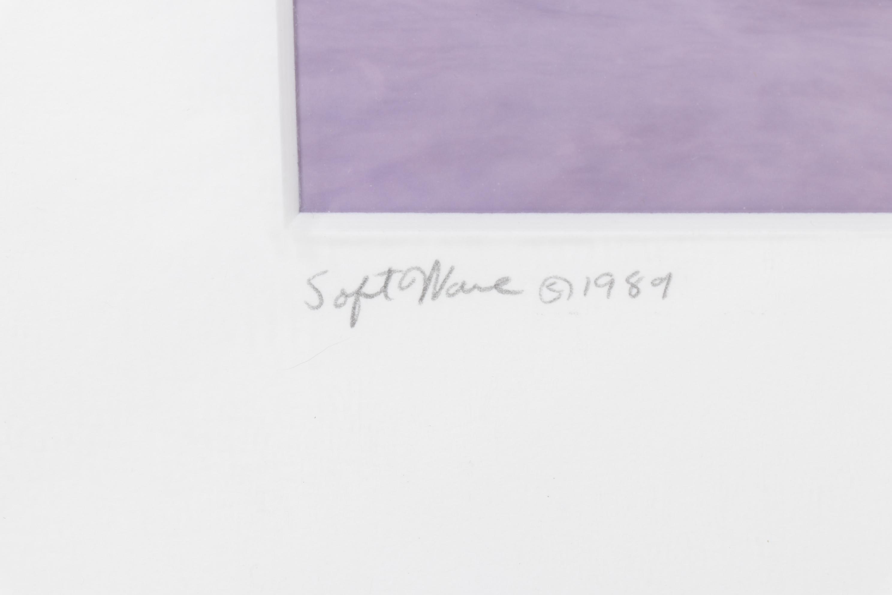 D.S. "Soft Wave" Purple Tinted and Blurred Photograph, 1989