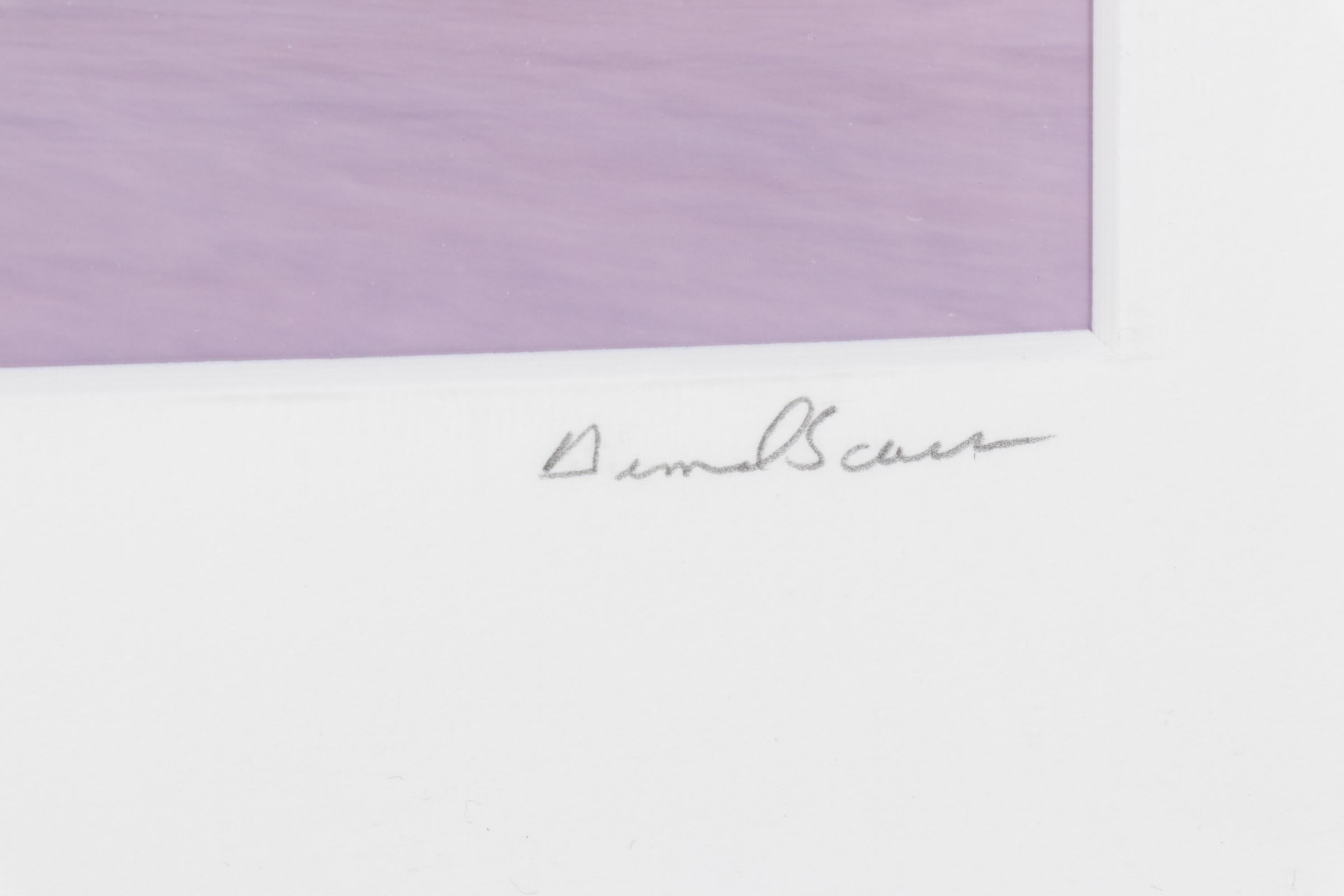 D.S. "Soft Wave" Purple Tinted and Blurred Photograph, 1989
