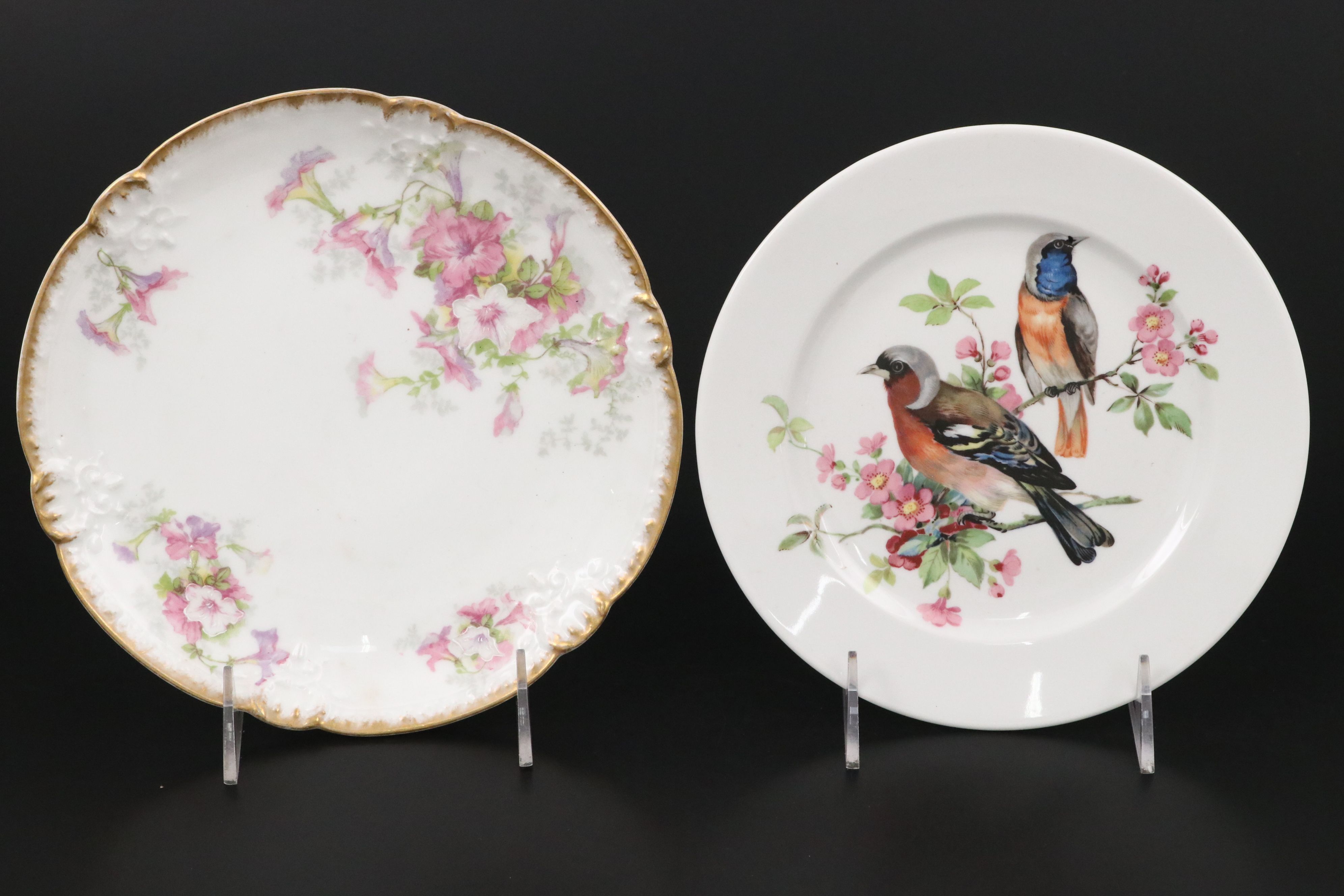 Tressemanes & Vogt, Schumann Azburg and More Porcelain Plates