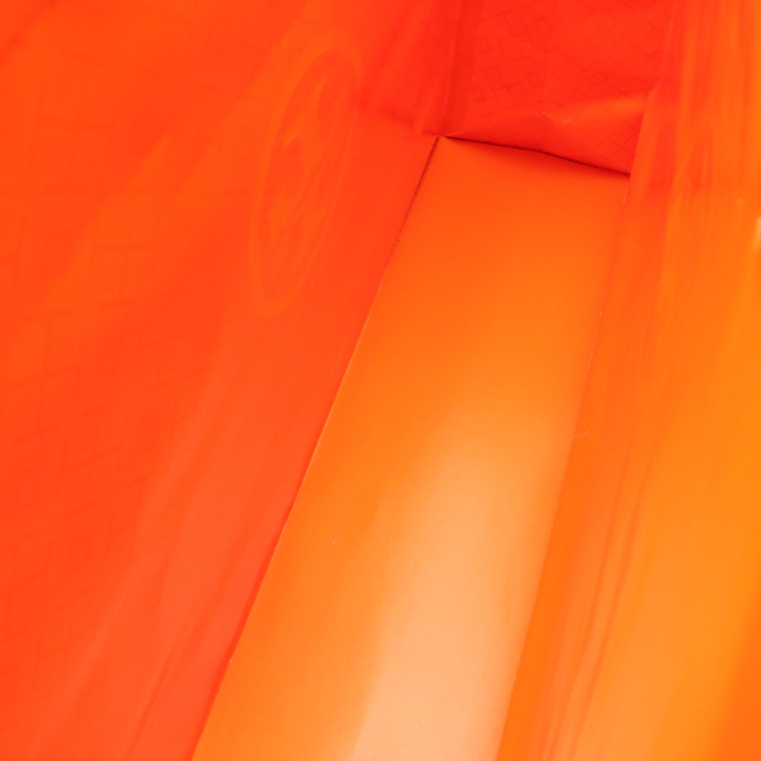 Louis Vuitton and Tory Burch Retail Shopping Bags