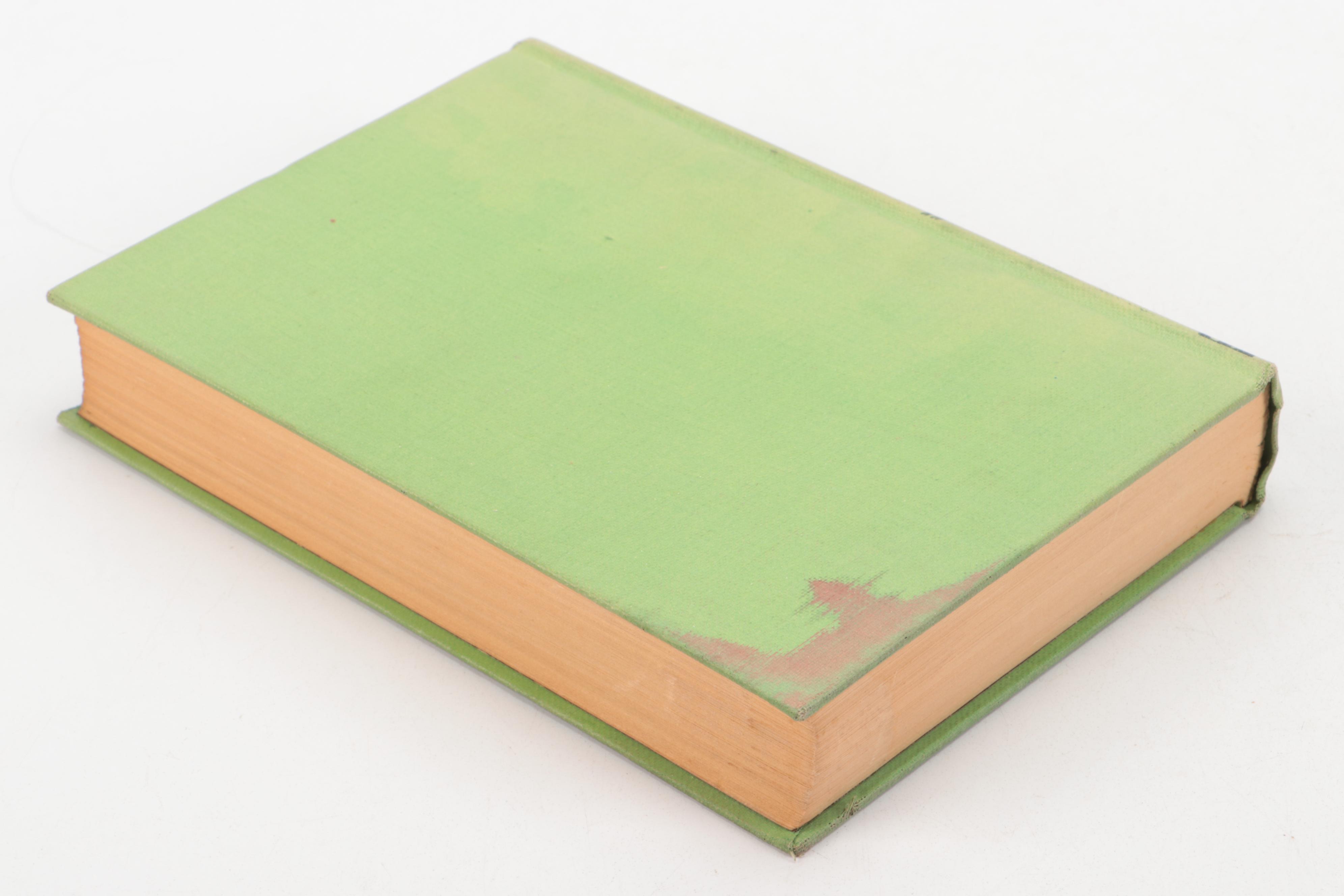 "The Bandit of Hell's Bend" and More Books by Edgar Rice Burroughs, 1920s