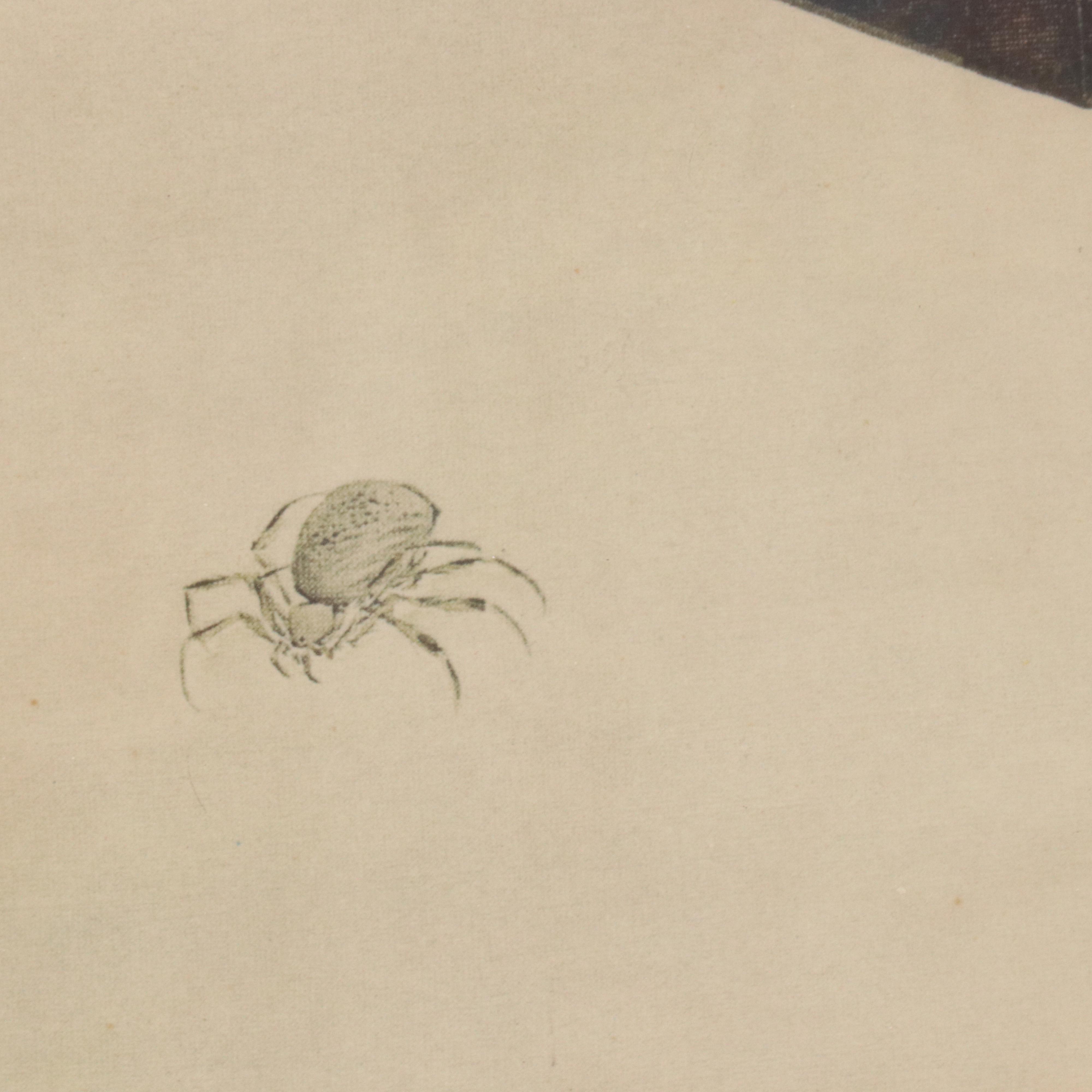 Giclée "Cat Watching a Spider" After Ōide Tōkō