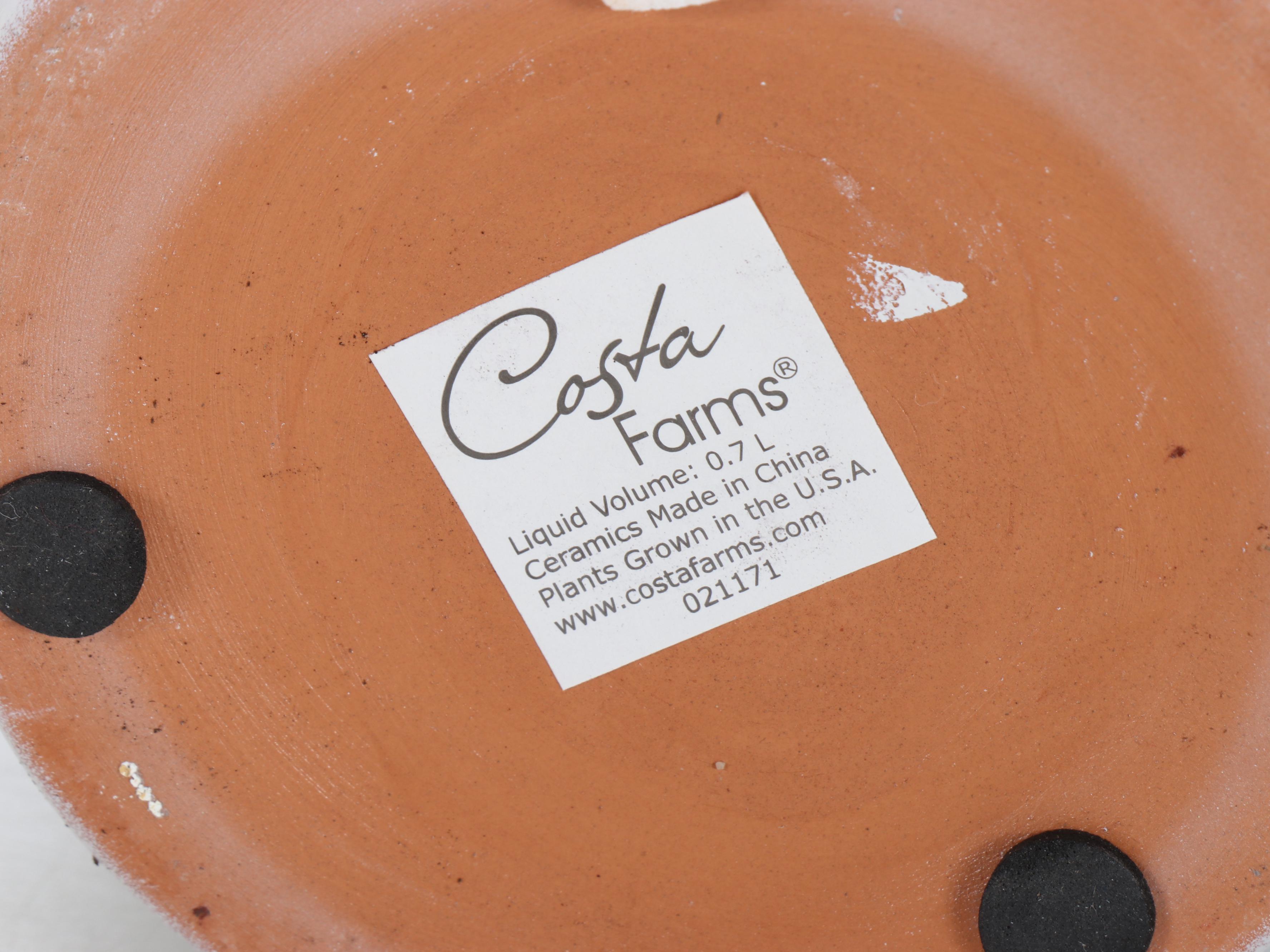 Glazed Terracotta Planters, Metal Planter Stands, and Copper Water Fountain