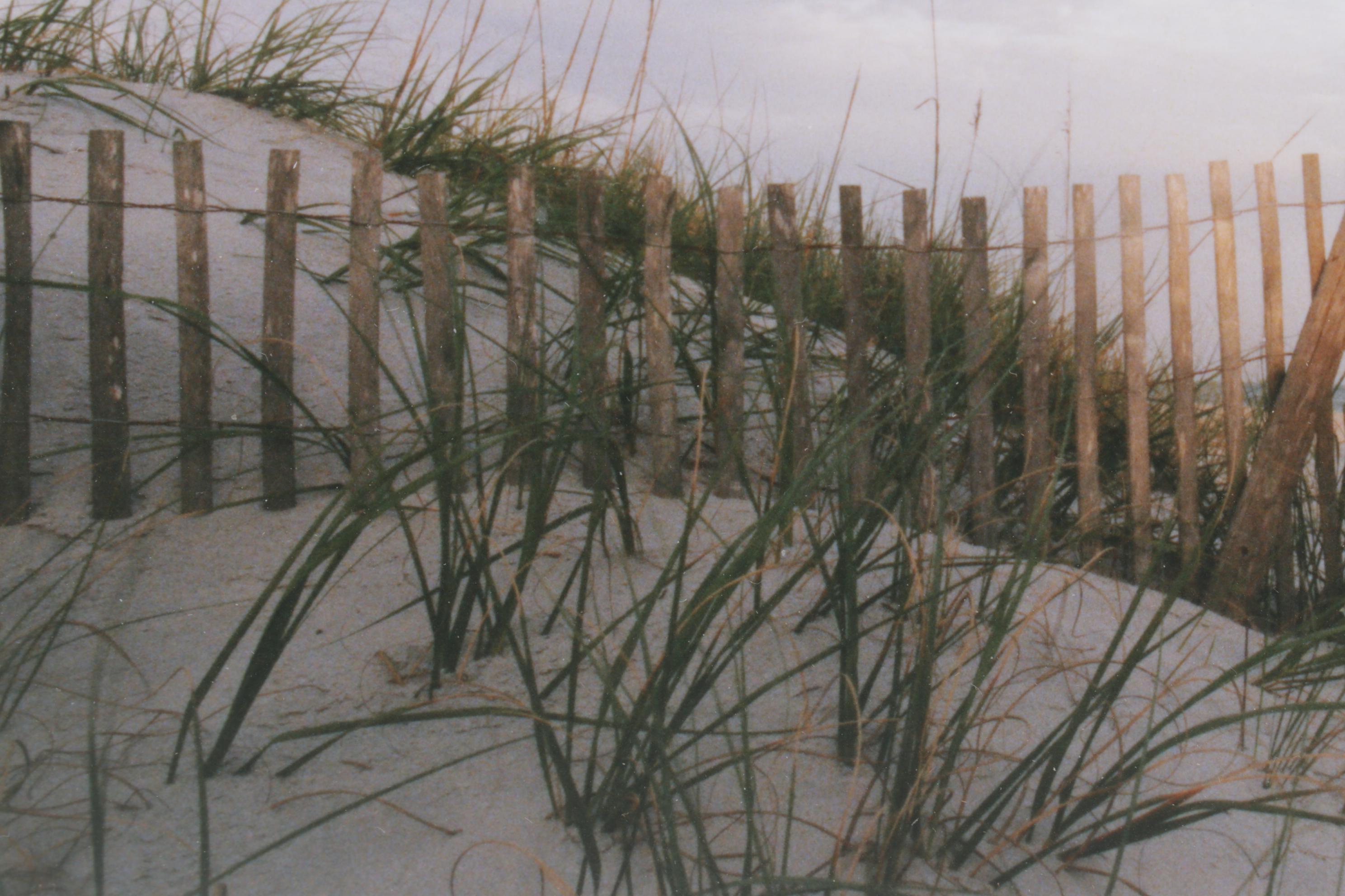 Steve Vaughn Landscape Photograph of a Beach Scene
