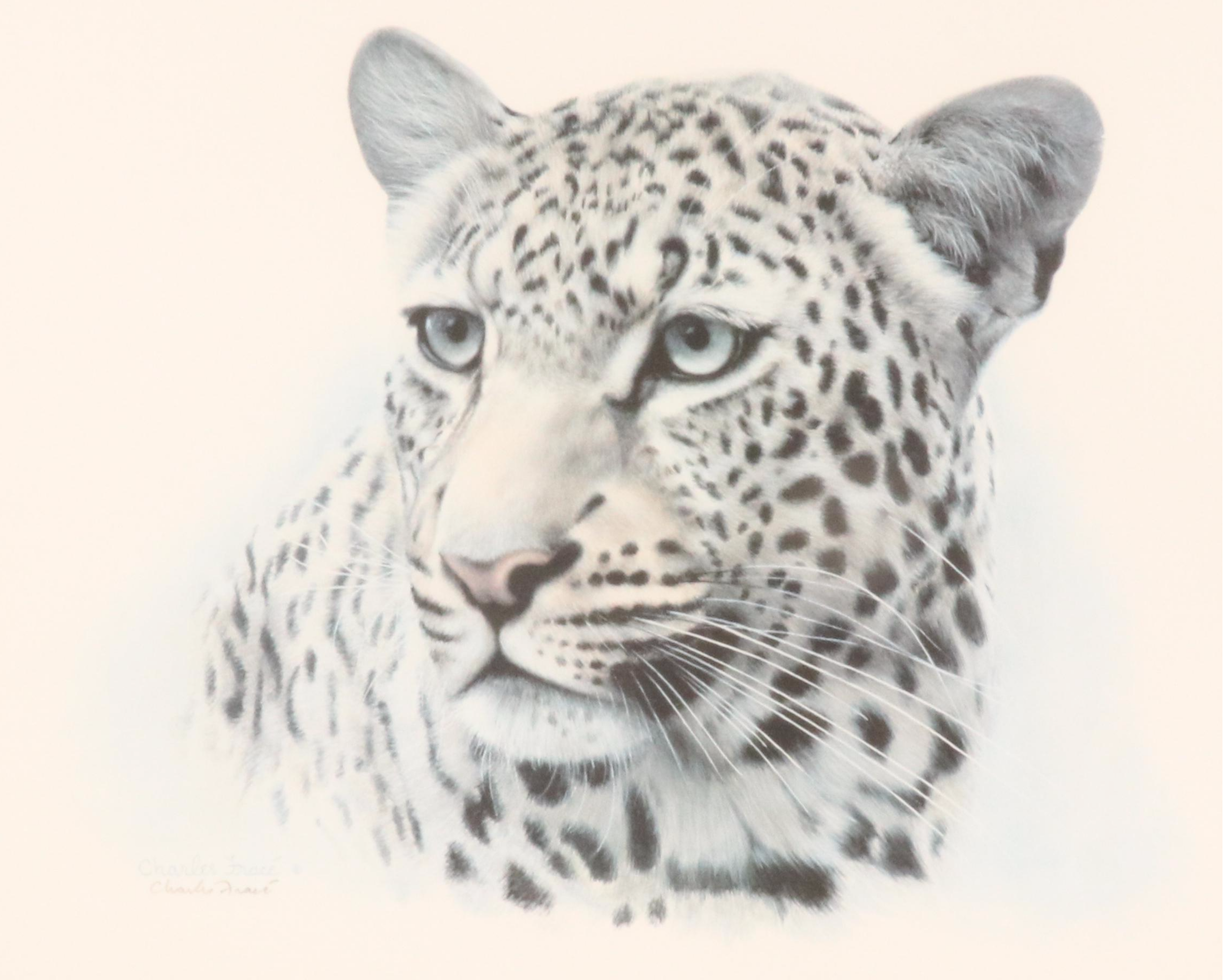 Charles Fracé Offset Lithograph "African Leopard"