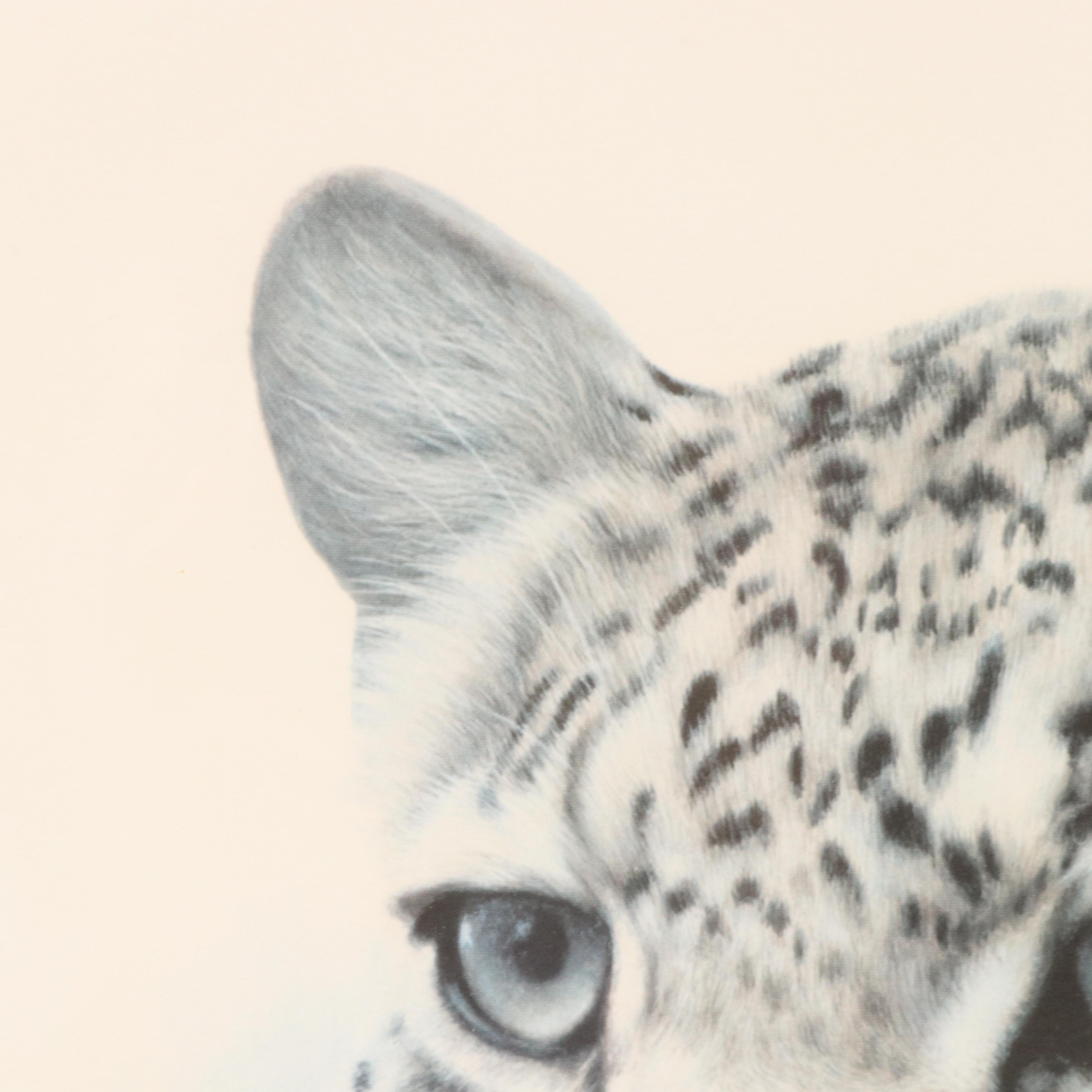 Charles Fracé Offset Lithograph "African Leopard"
