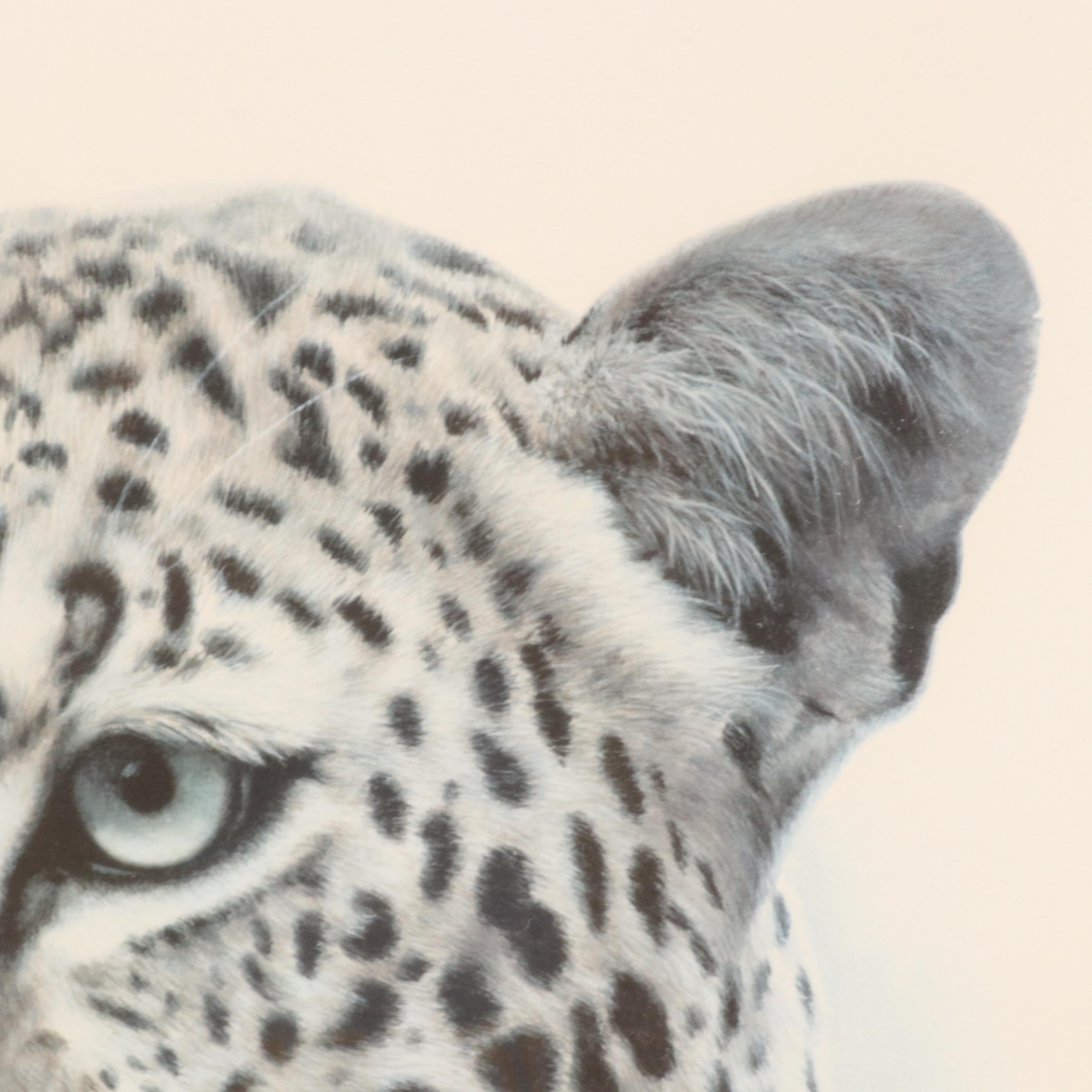 Charles Fracé Offset Lithograph "African Leopard"