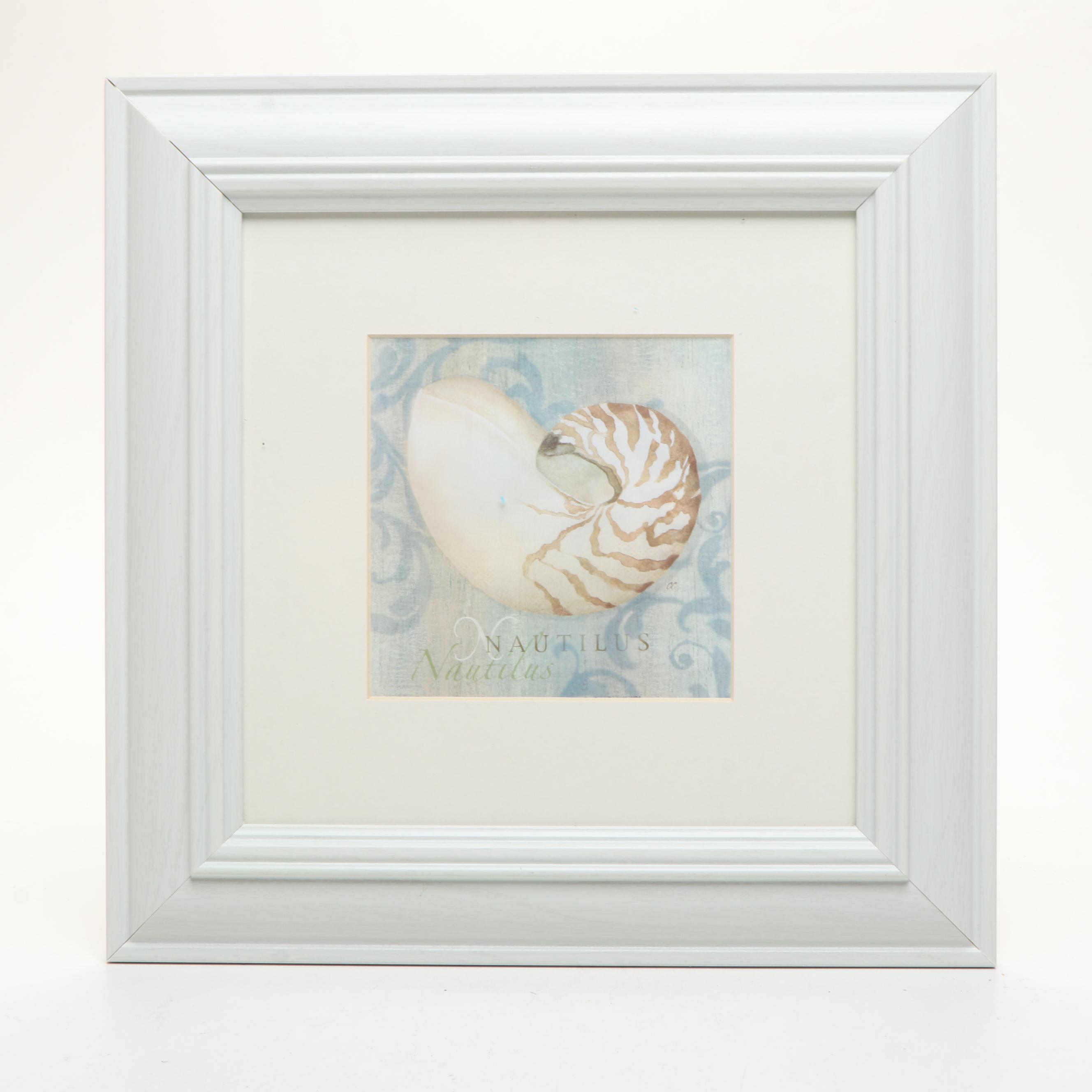 Nautilus and Sand Dollar Framed Prints