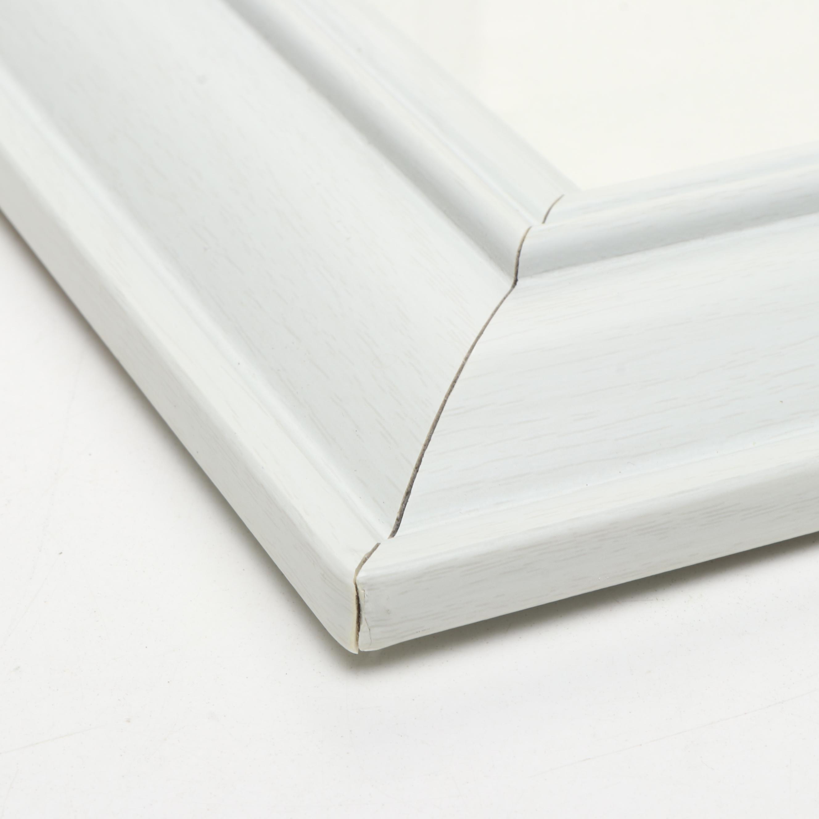 Nautilus and Sand Dollar Framed Prints