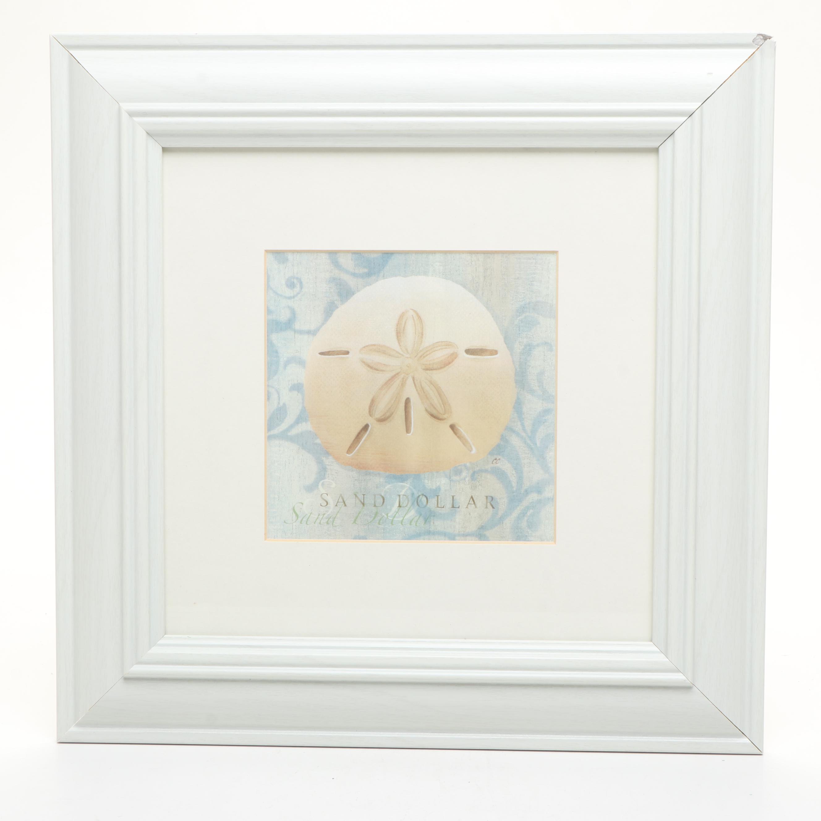 Nautilus and Sand Dollar Framed Prints