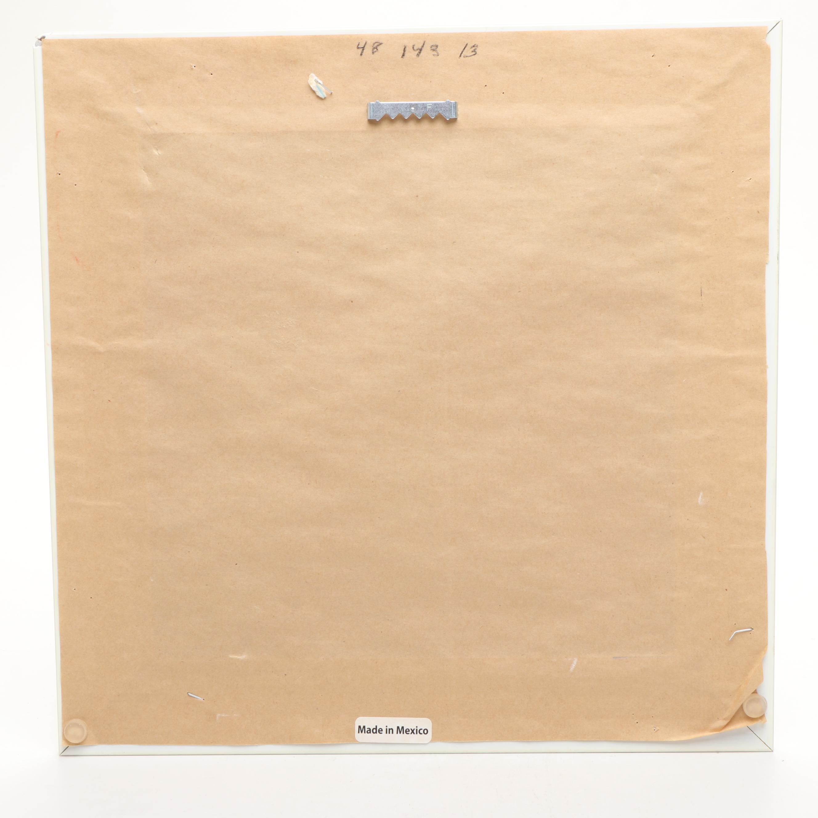 Nautilus and Sand Dollar Framed Prints