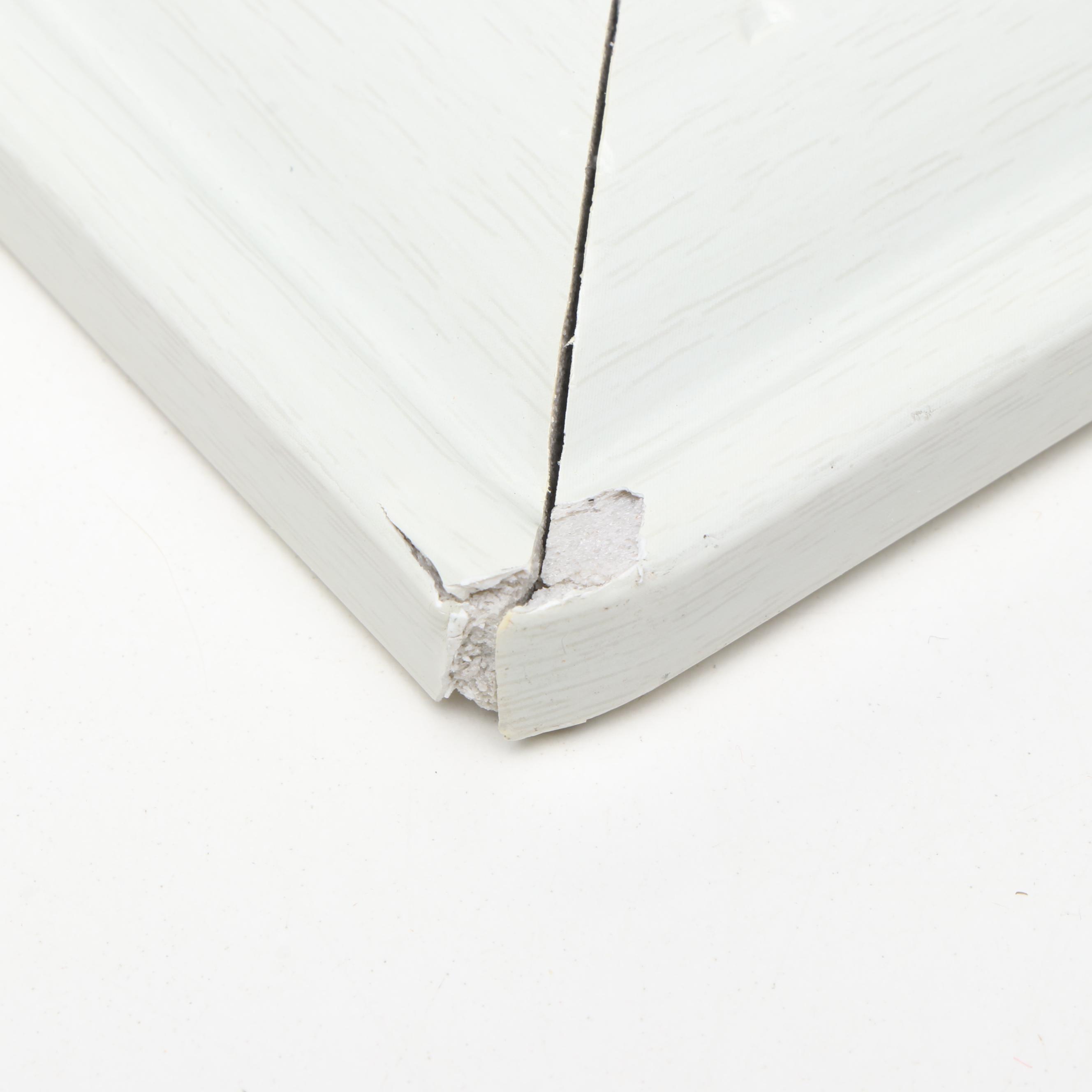 Nautilus and Sand Dollar Framed Prints