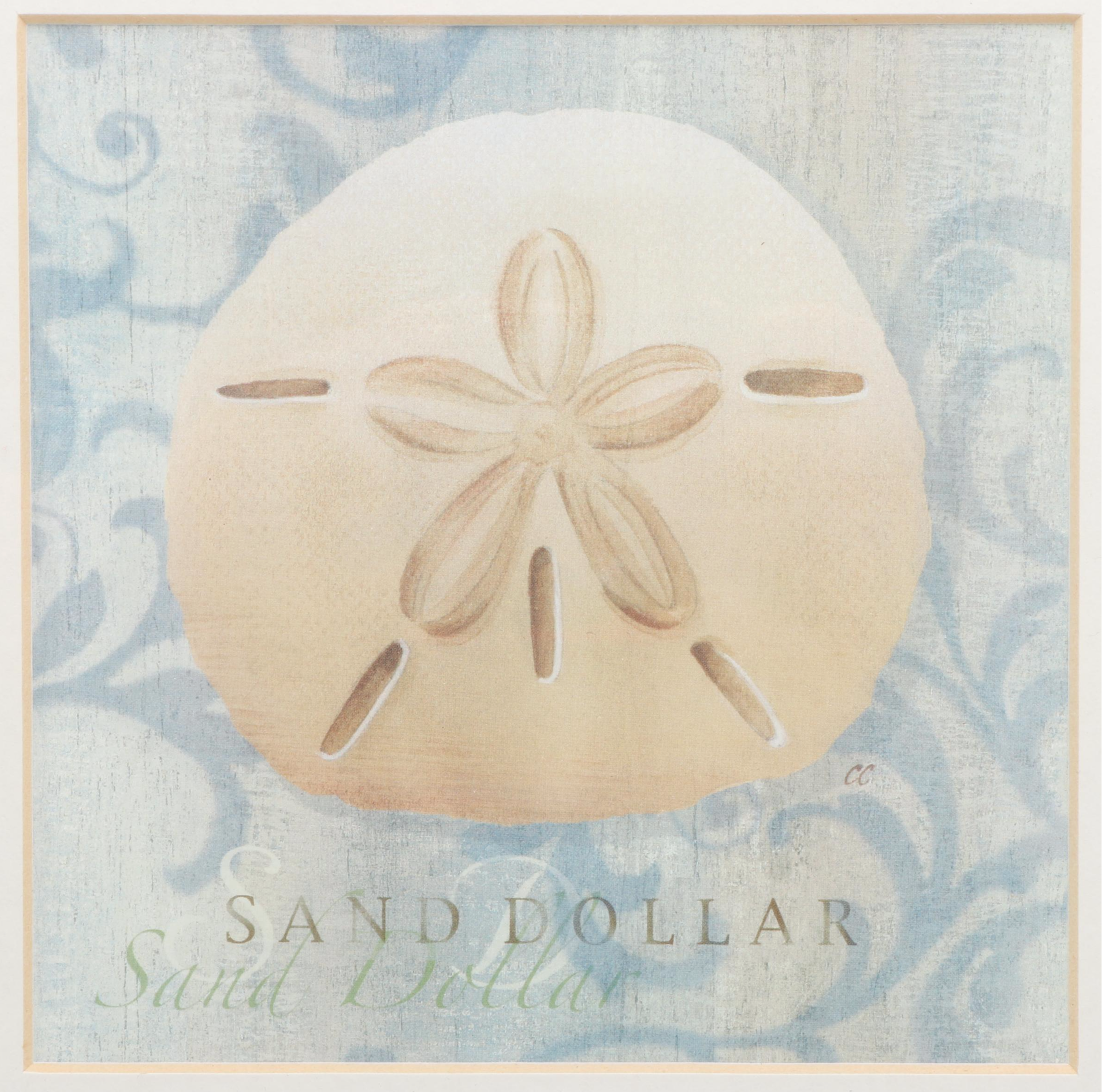 Nautilus and Sand Dollar Framed Prints