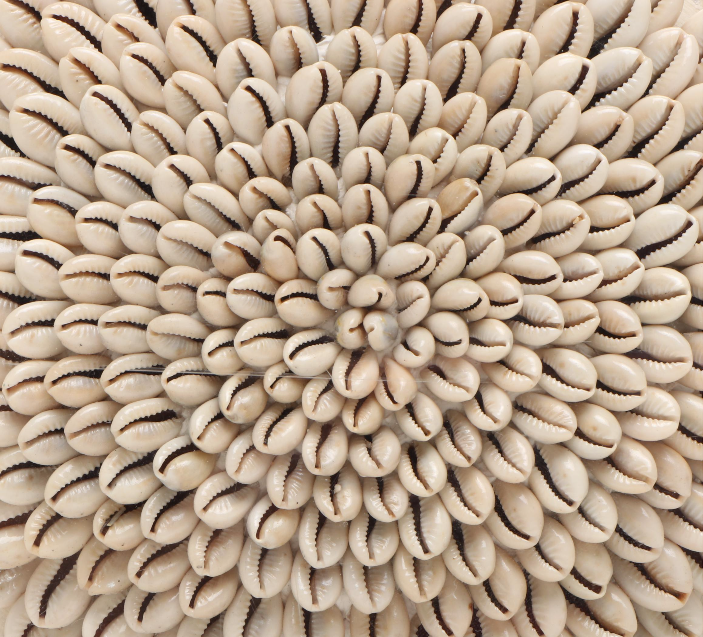 Chinese Floral Blue and White Porcelain Vase with Shell and MOP Wall Décor