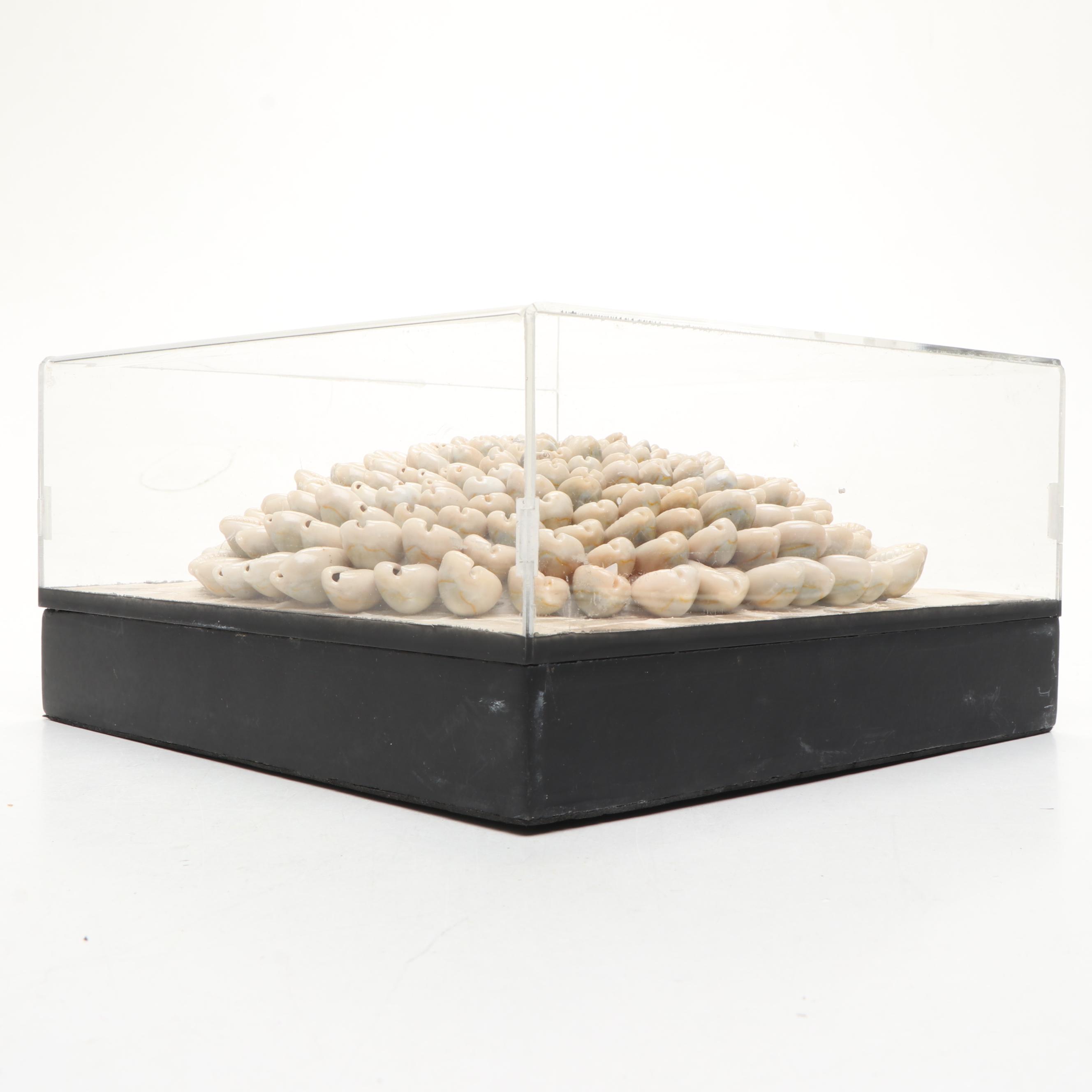 Chinese Floral Blue and White Porcelain Vase with Shell and MOP Wall Décor