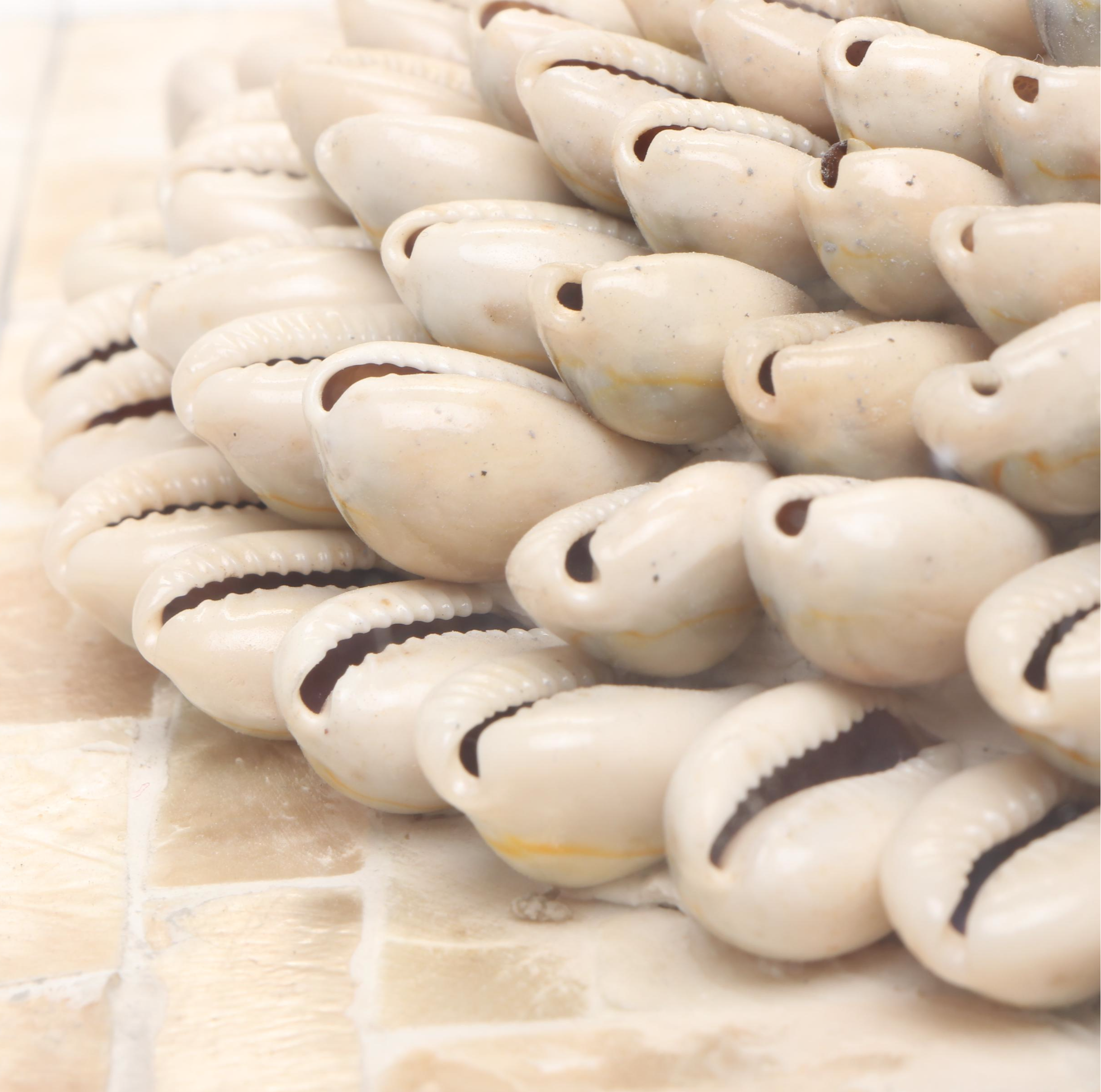 Chinese Floral Blue and White Porcelain Vase with Shell and MOP Wall Décor