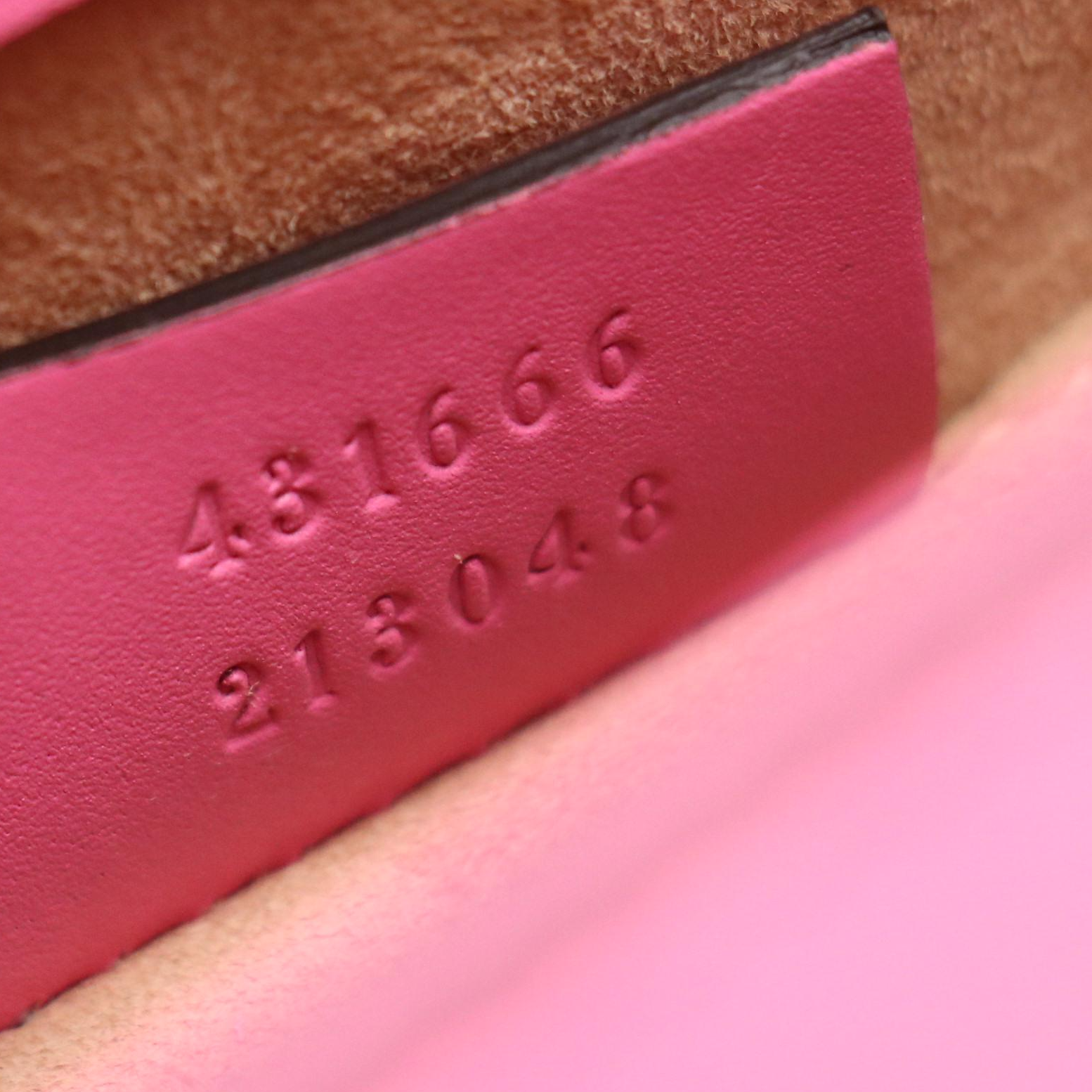 Gucci Small Sylvie Two-Way Shoulder Bag in Web Striped Pink Calfskin Leather