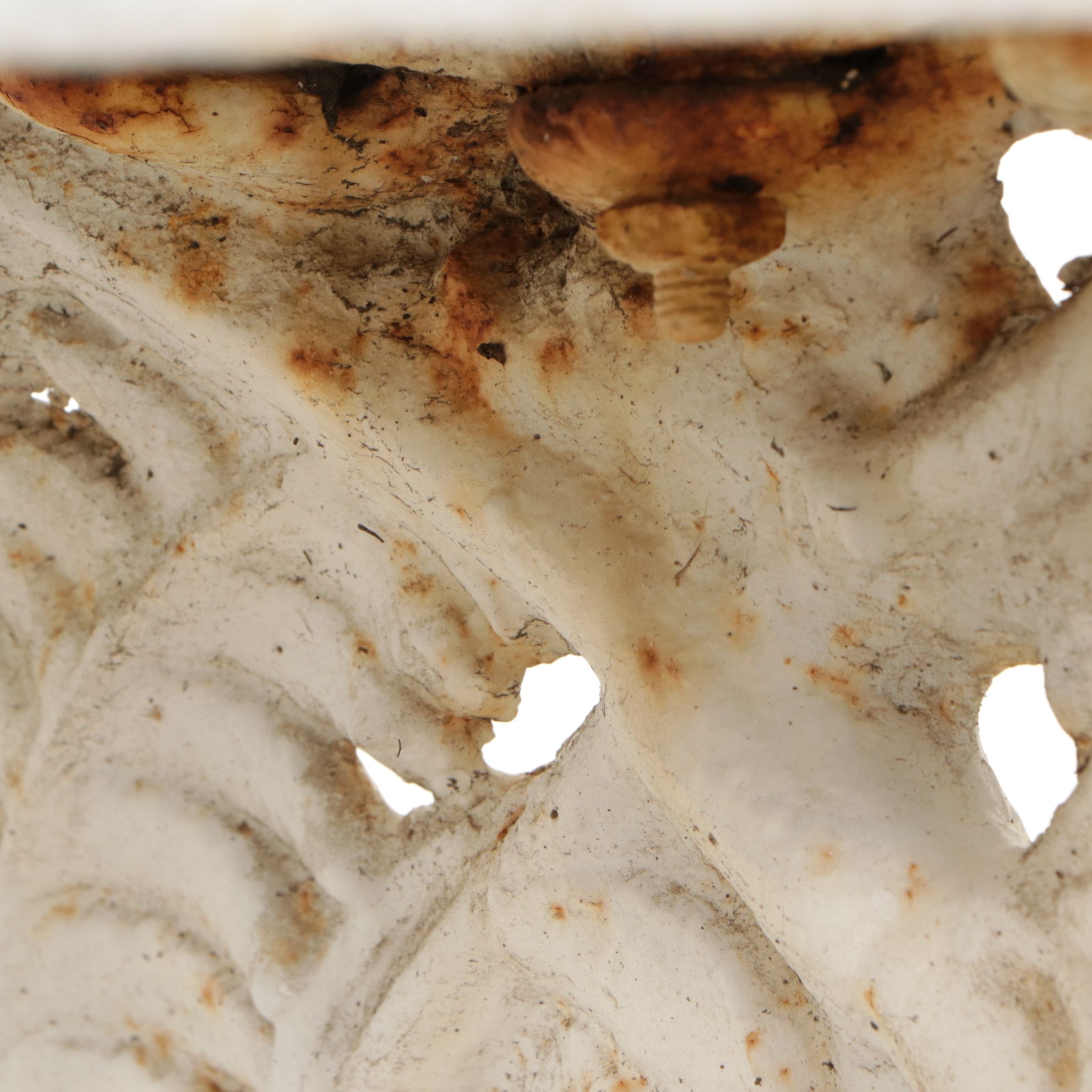 White-Painted Cast Iron Outdoor Chair With Fern Frond Back and Triangle Seat