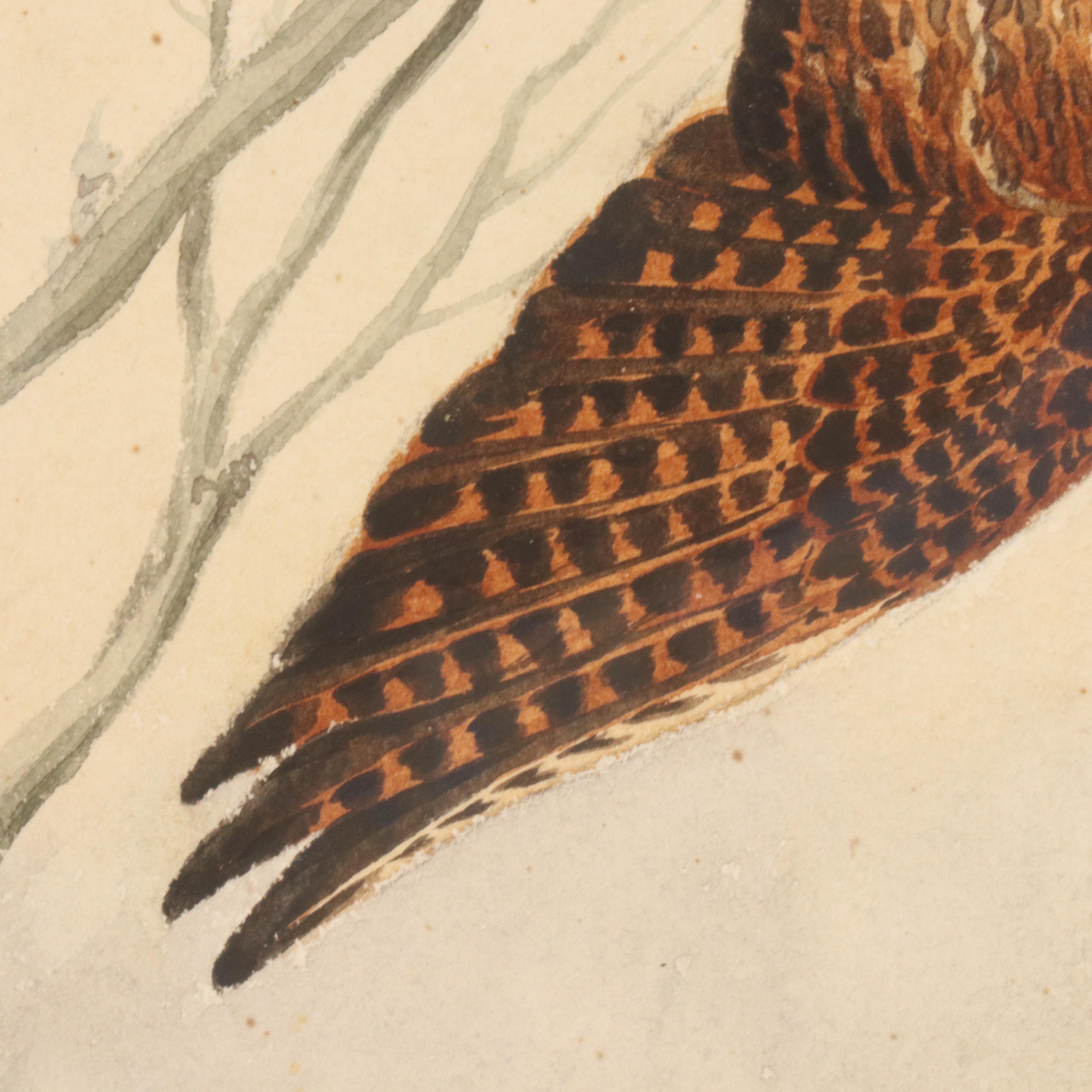 Boris Riabouchinsky Watercolor Paintings of Woodcock and Pheasant in Flight