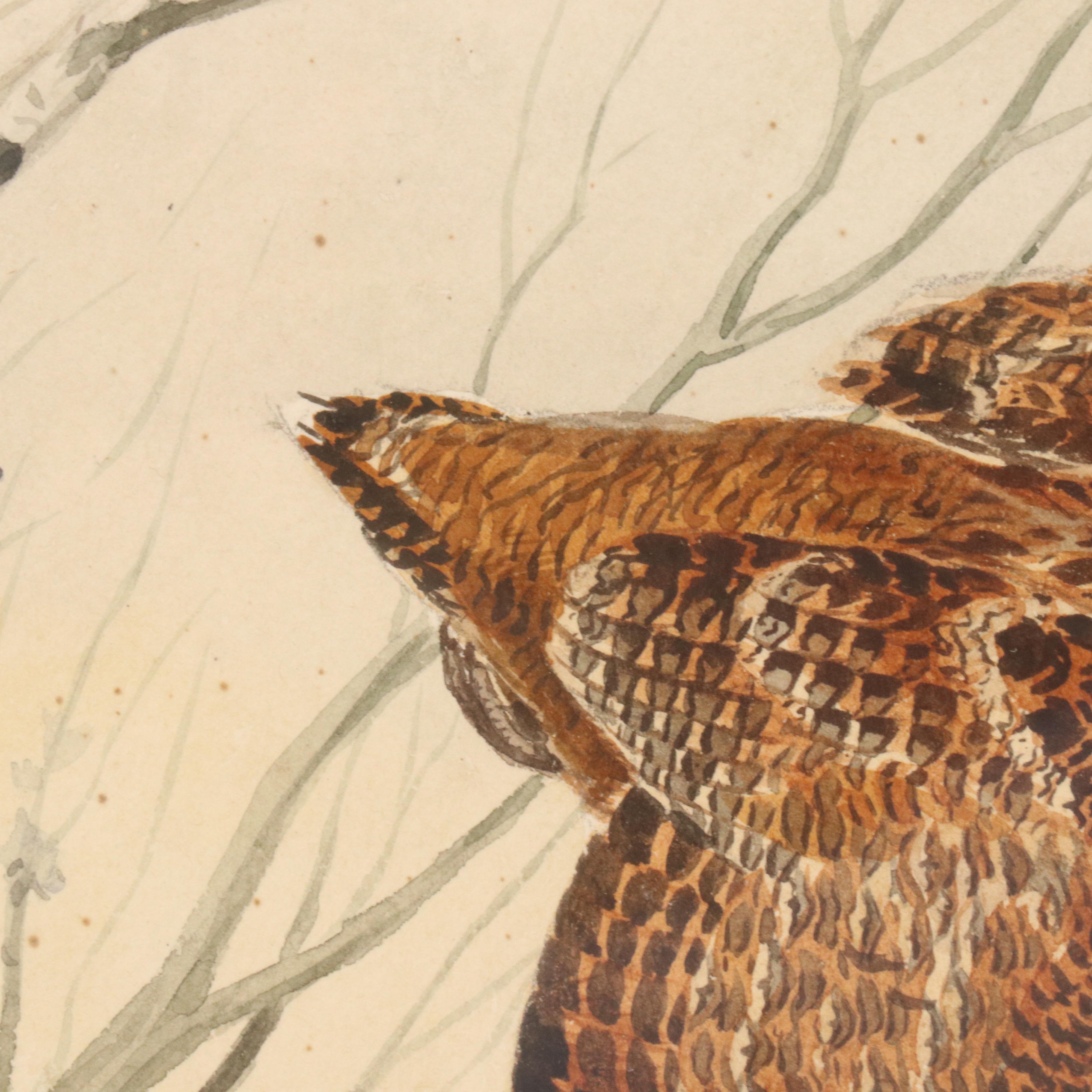 Boris Riabouchinsky Watercolor Paintings of Woodcock and Pheasant in Flight