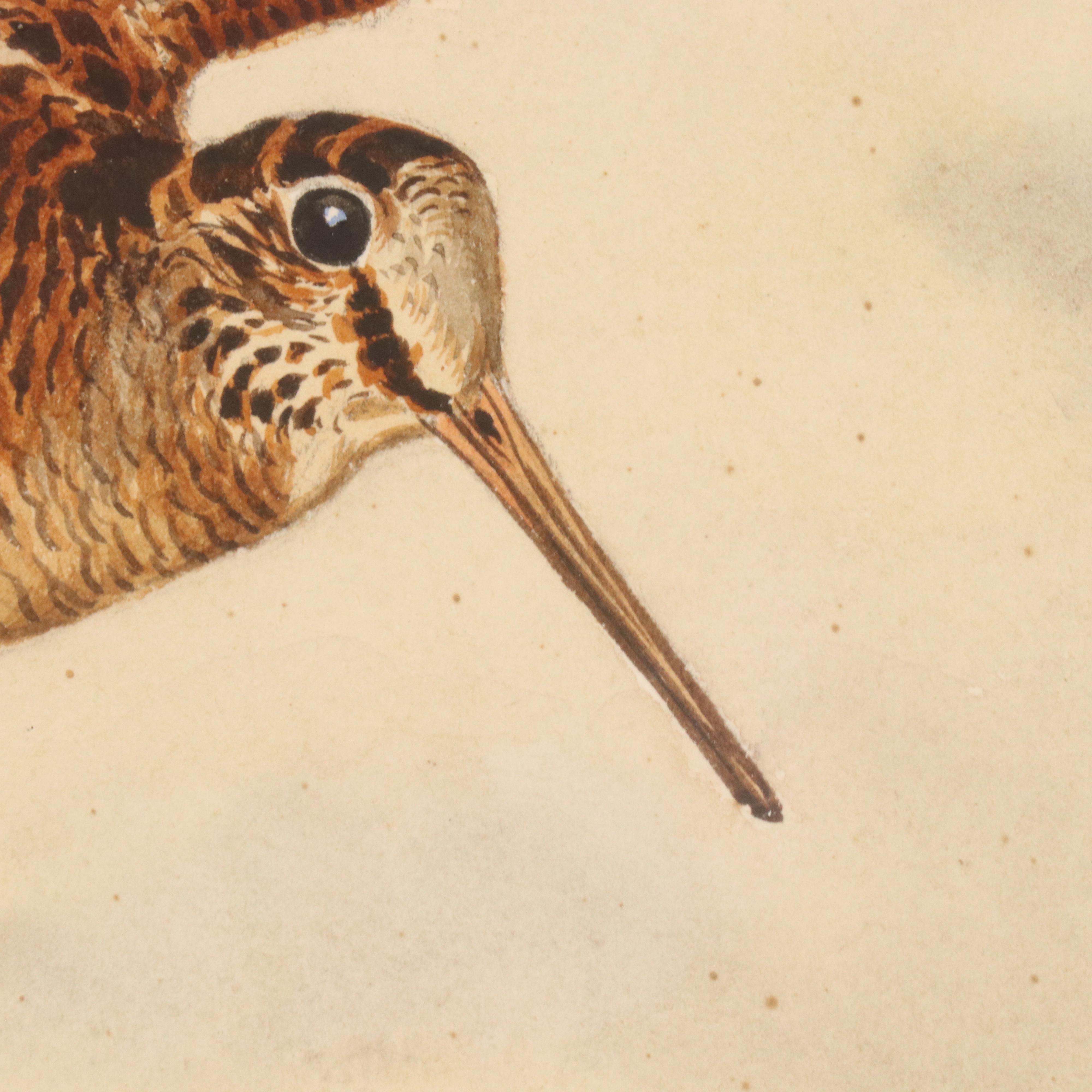 Boris Riabouchinsky Watercolor Paintings of Woodcock and Pheasant in Flight