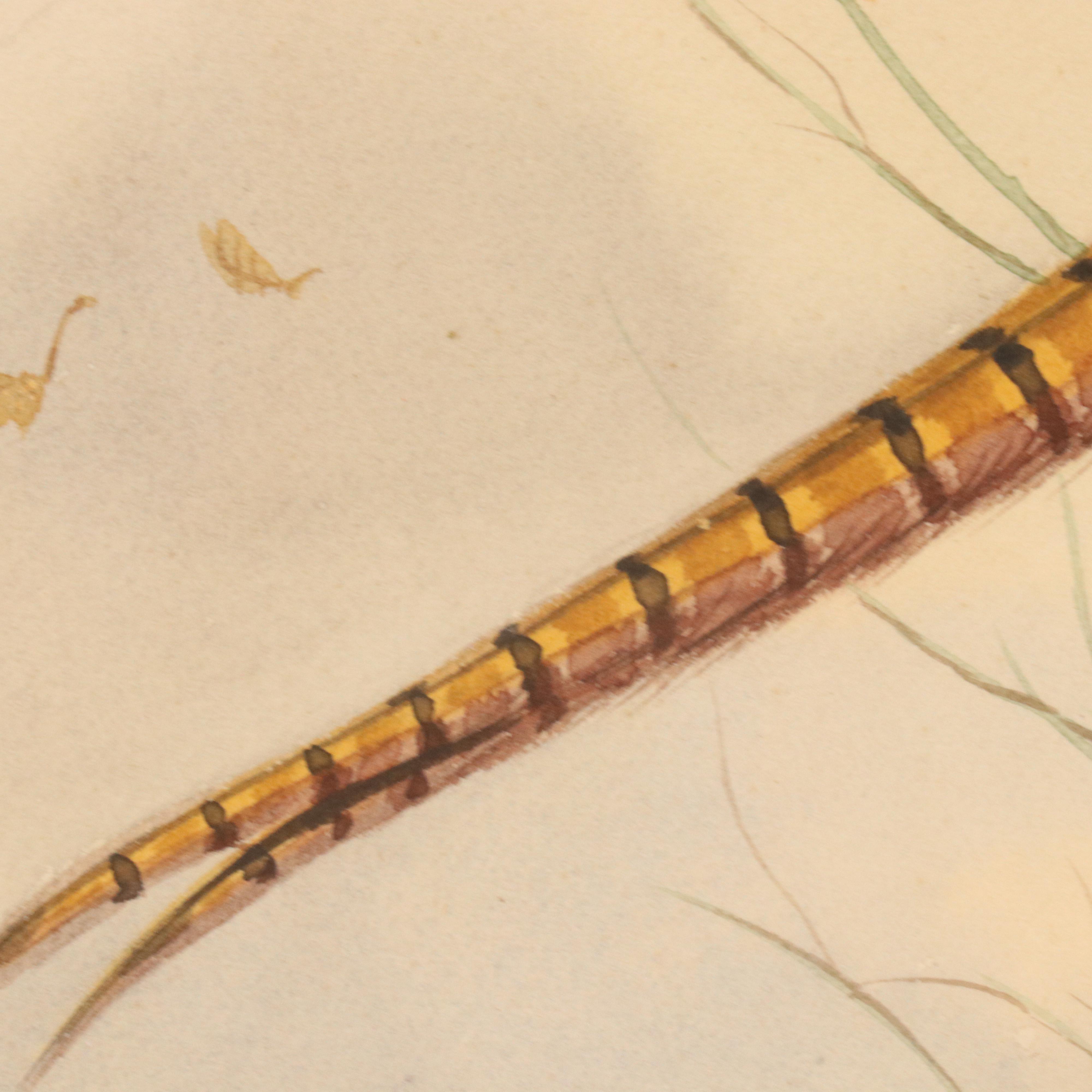 Boris Riabouchinsky Watercolor Paintings of Woodcock and Pheasant in Flight