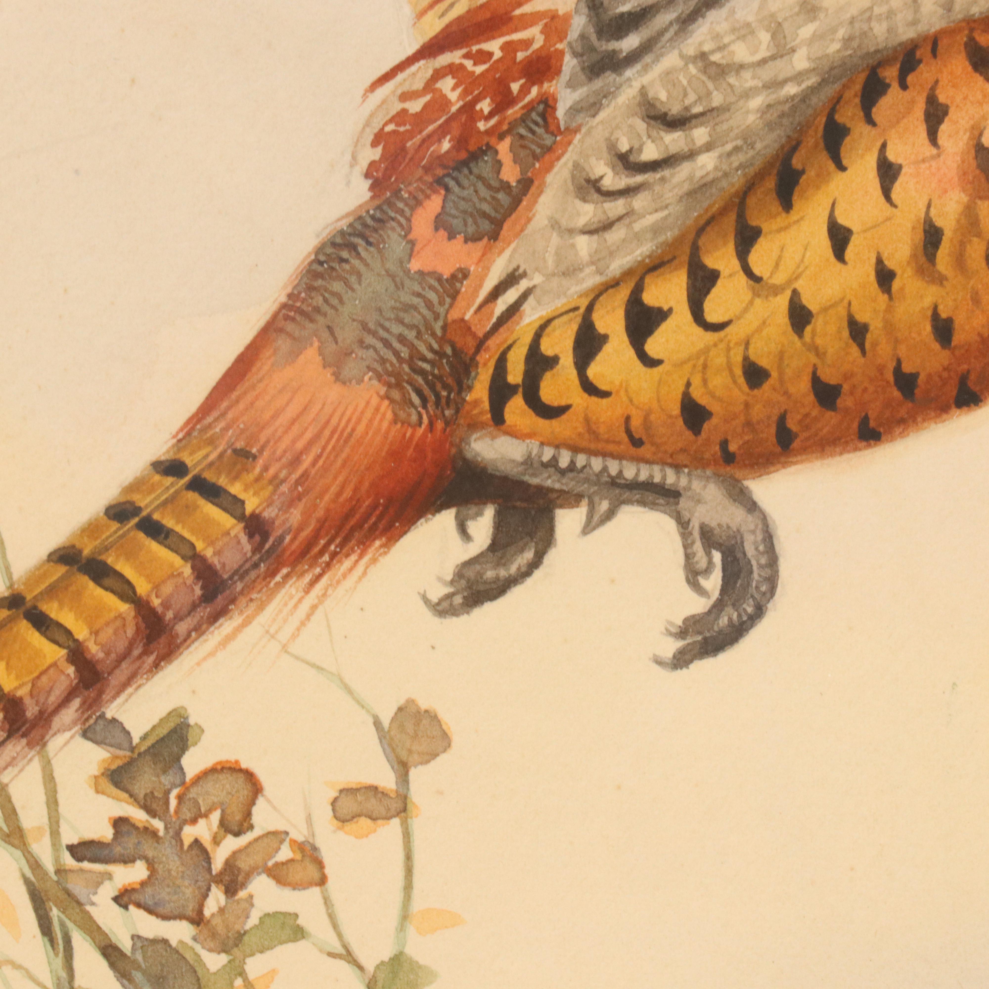 Boris Riabouchinsky Watercolor Paintings of Woodcock and Pheasant in Flight