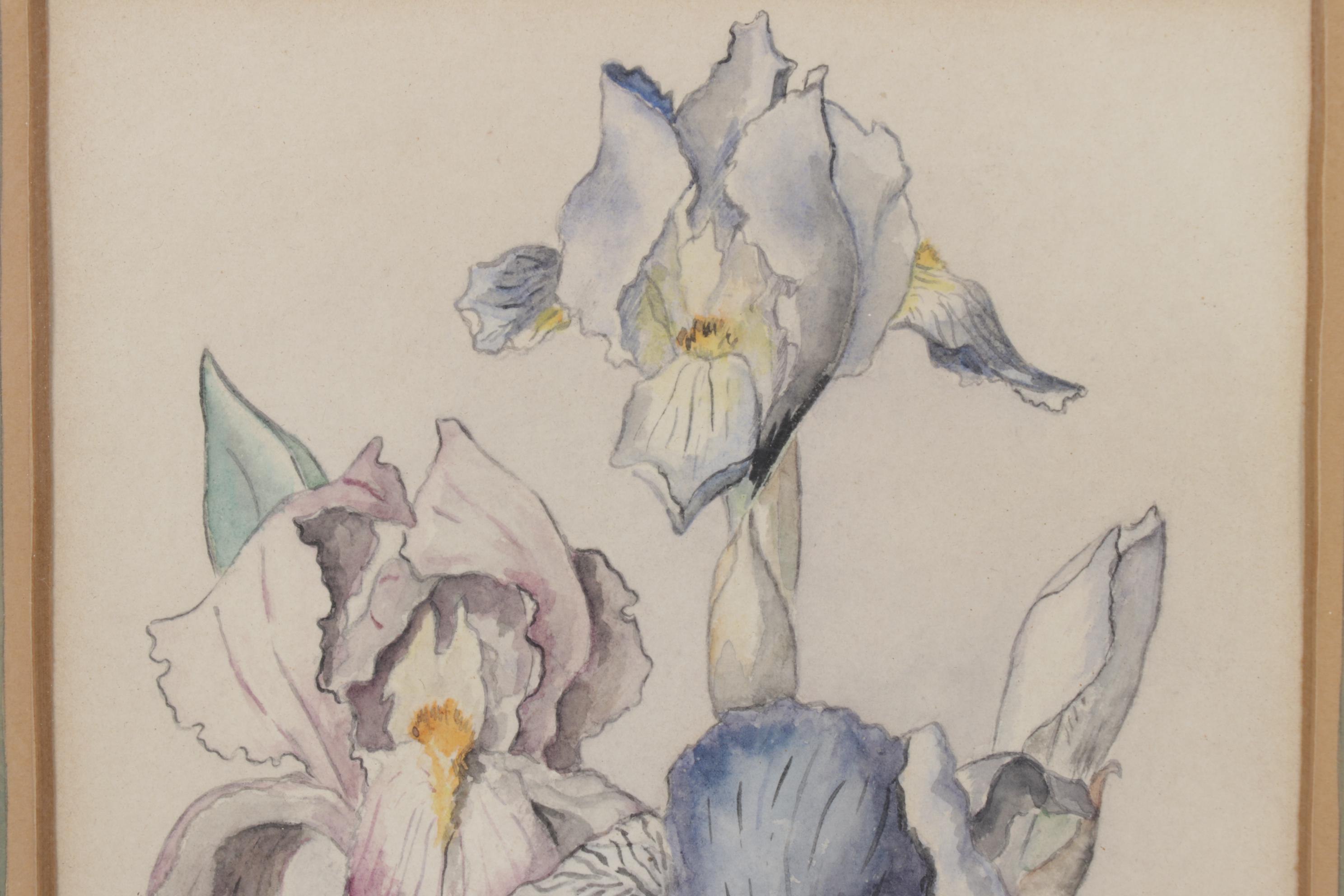 Pair of Framed Floral Watercolors, Mid-20th Century