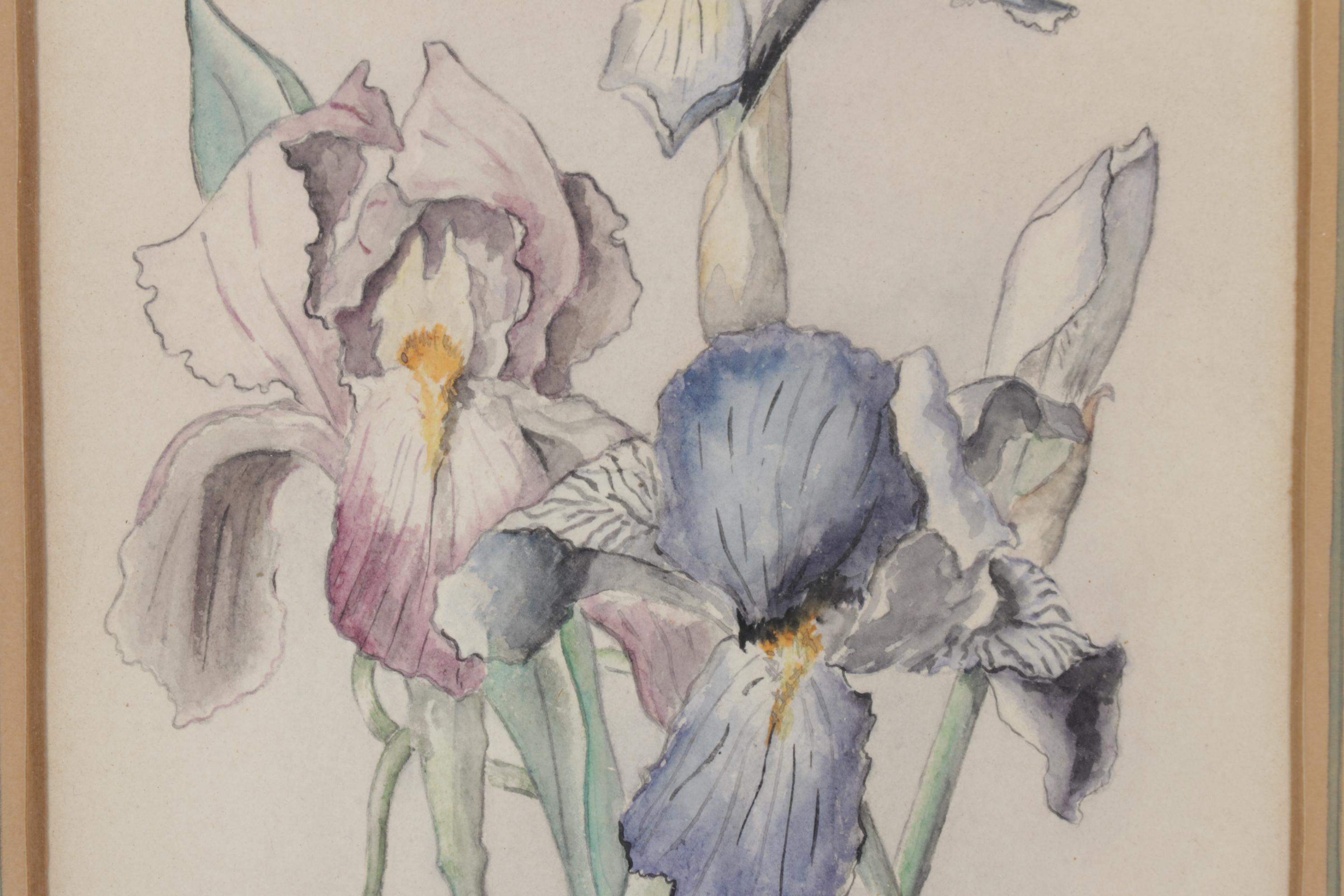 Pair of Framed Floral Watercolors, Mid-20th Century