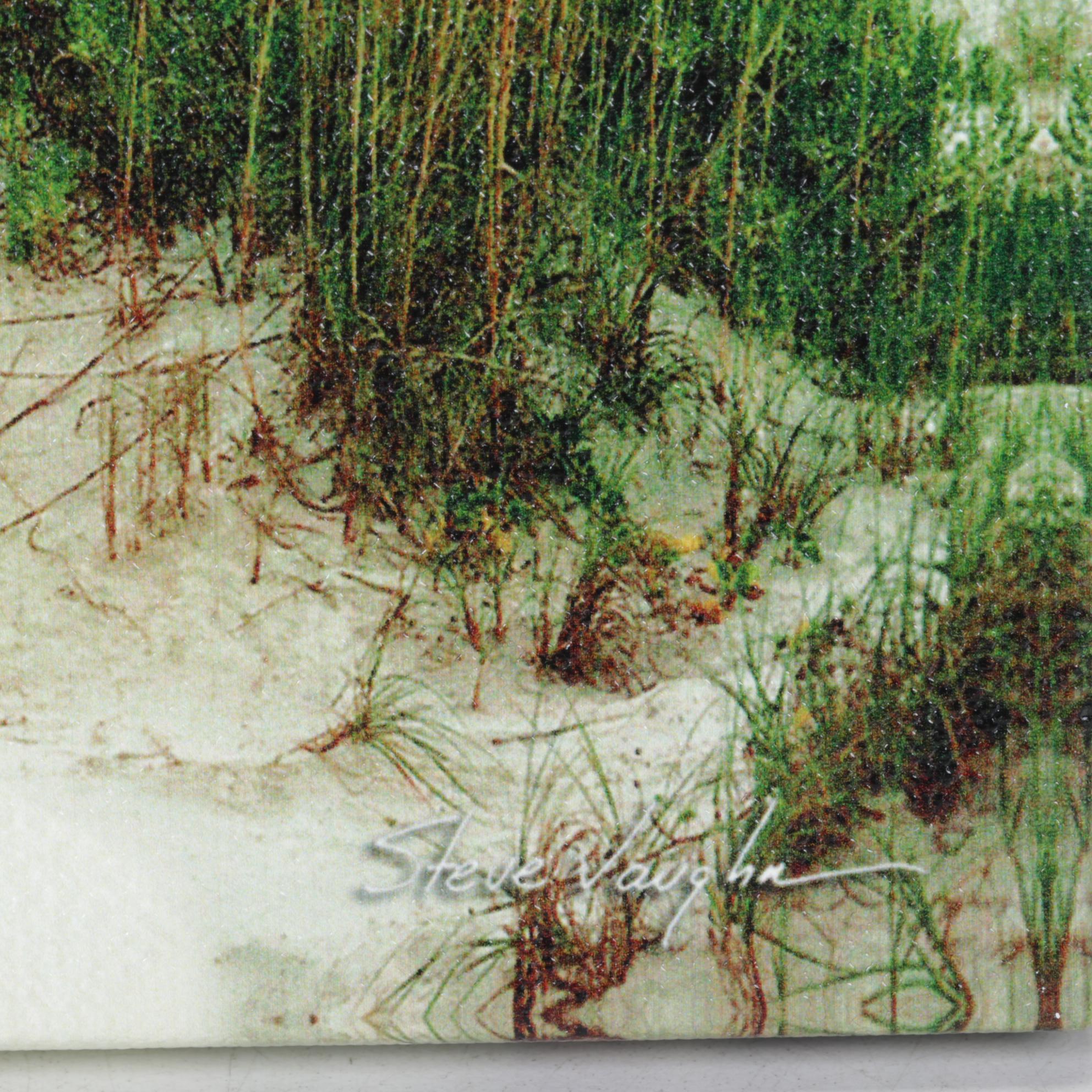 Steve Vaughn Panoramic Beach Scene Canvas Art Print Seascape