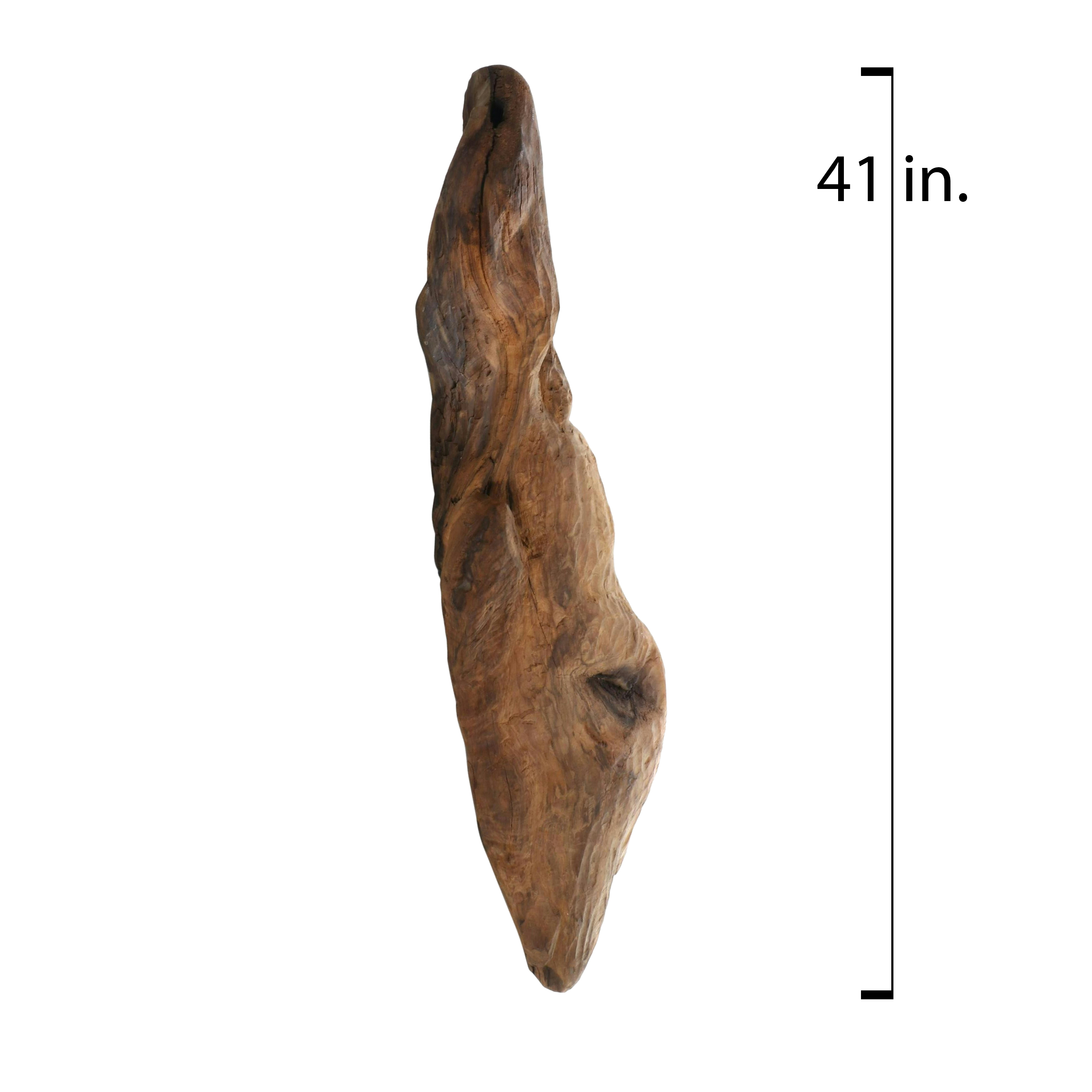 Large Biomorphic Hand-Carved Wood Sculpture for Wall