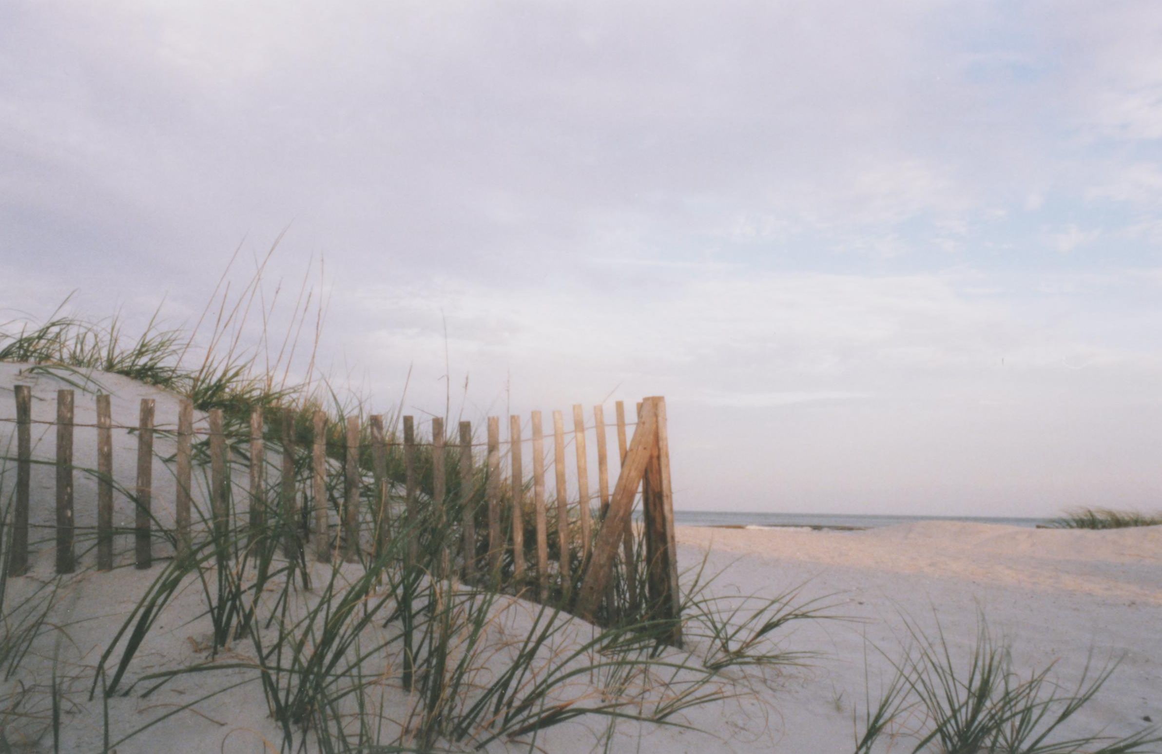 Steve Vaughn Landscape Photograph of a Beach Scene