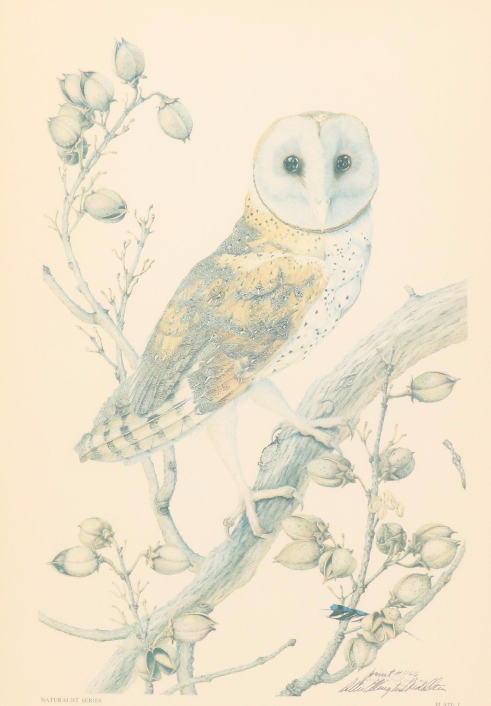 Sallie Ellington Middleton Offset Lithograph "Barn Owl," Late 20th Century