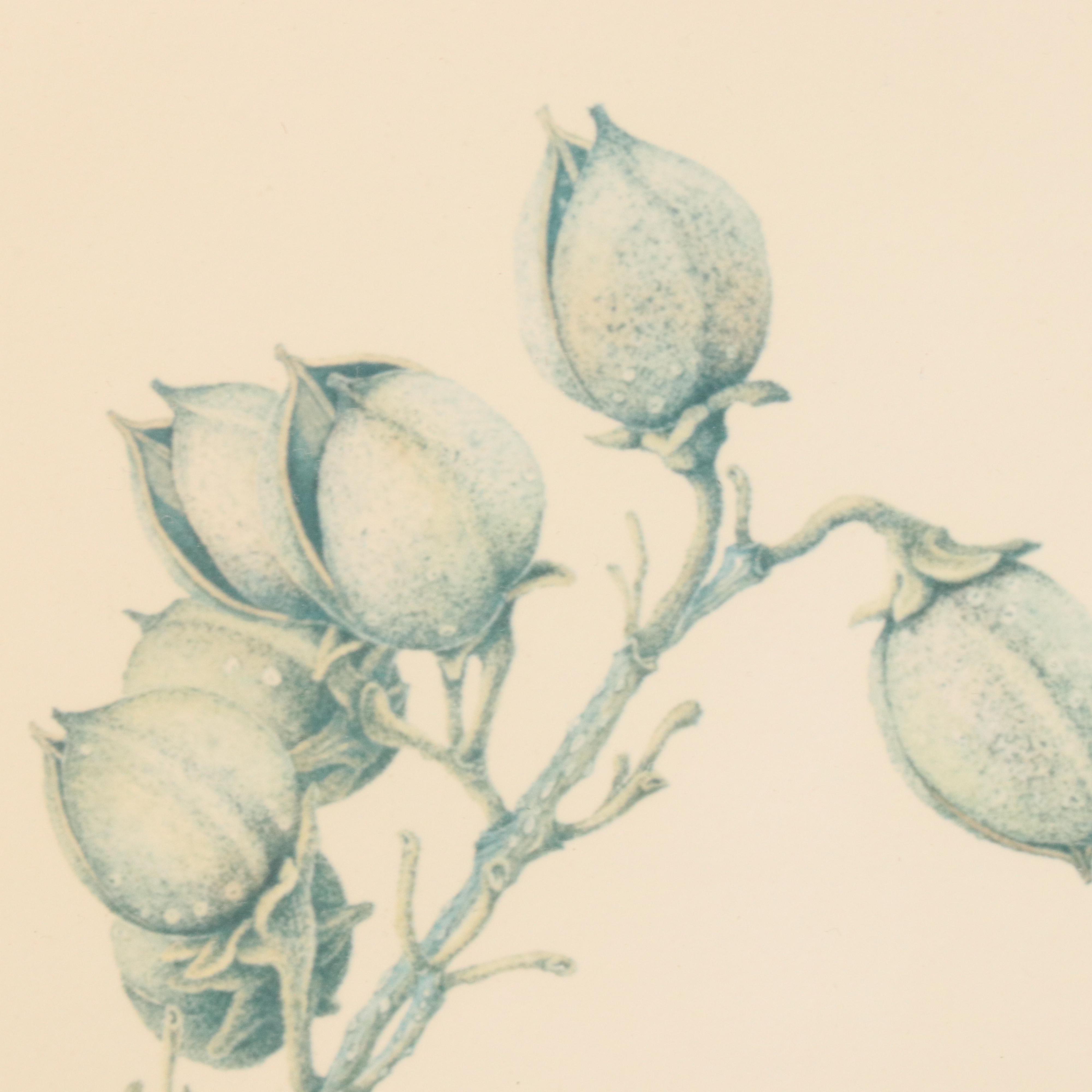 Sallie Ellington Middleton Offset Lithograph "Barn Owl," Late 20th Century