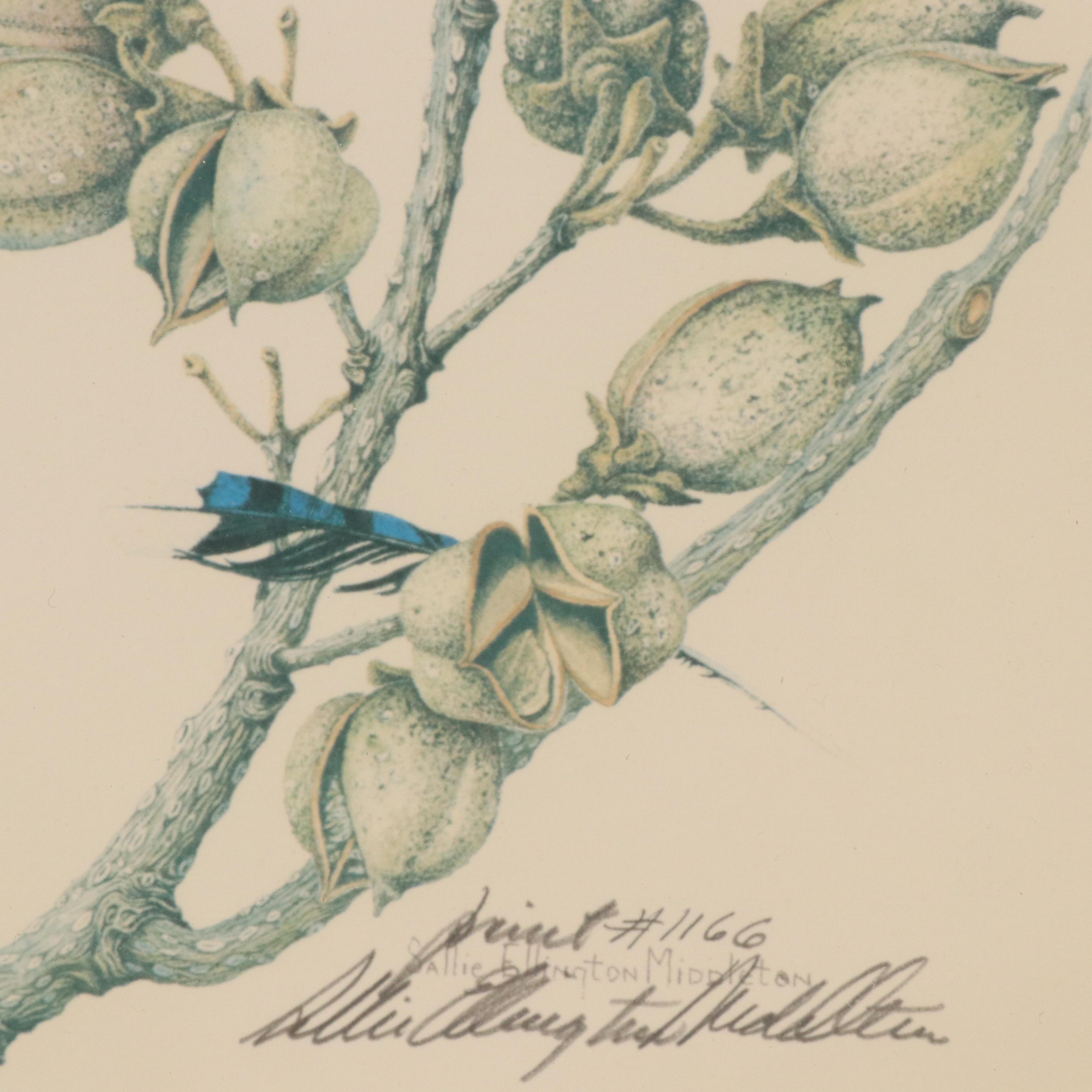 Sallie Ellington Middleton Offset Lithograph "Barn Owl," Late 20th Century