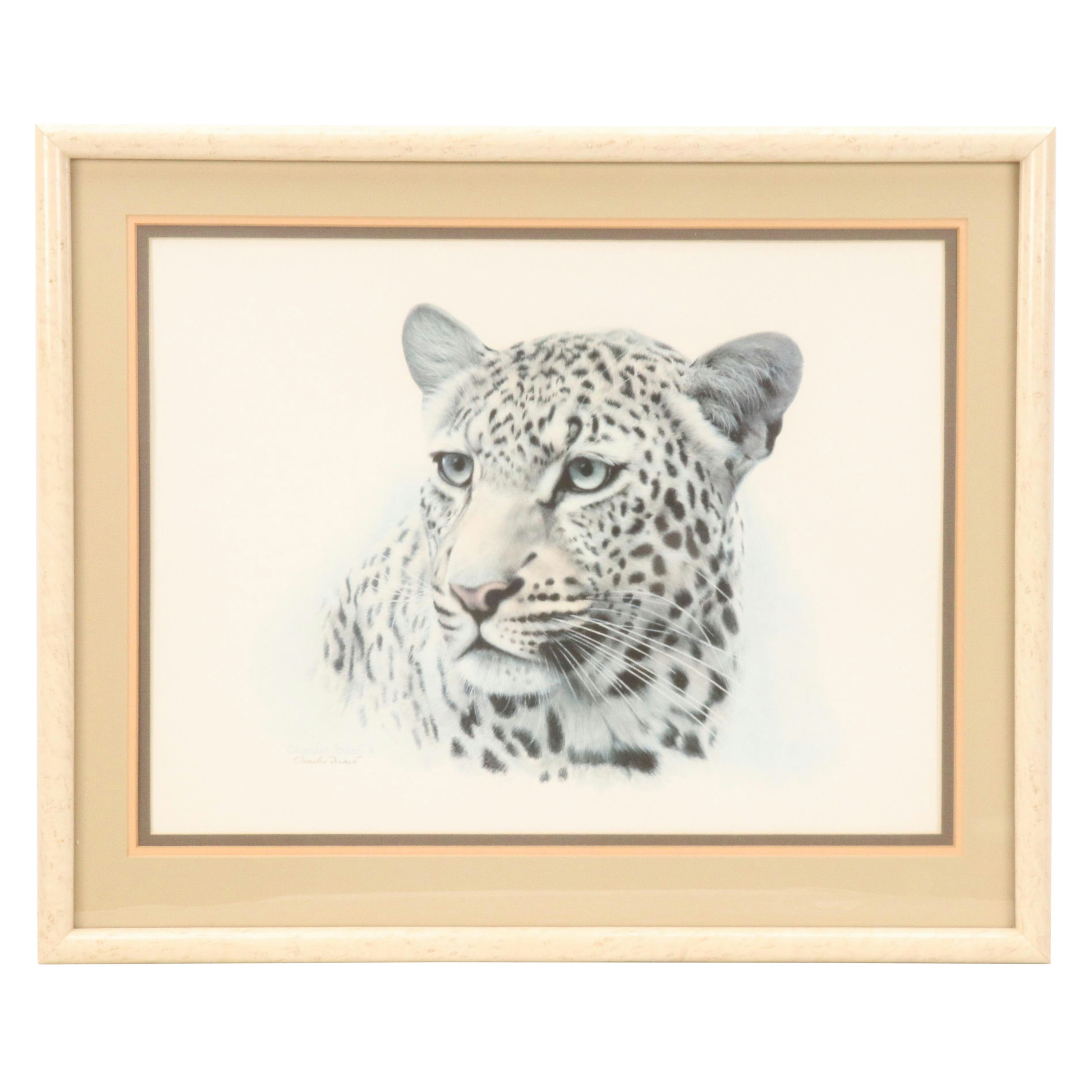 Charles Fracé Offset Lithograph "African Leopard"