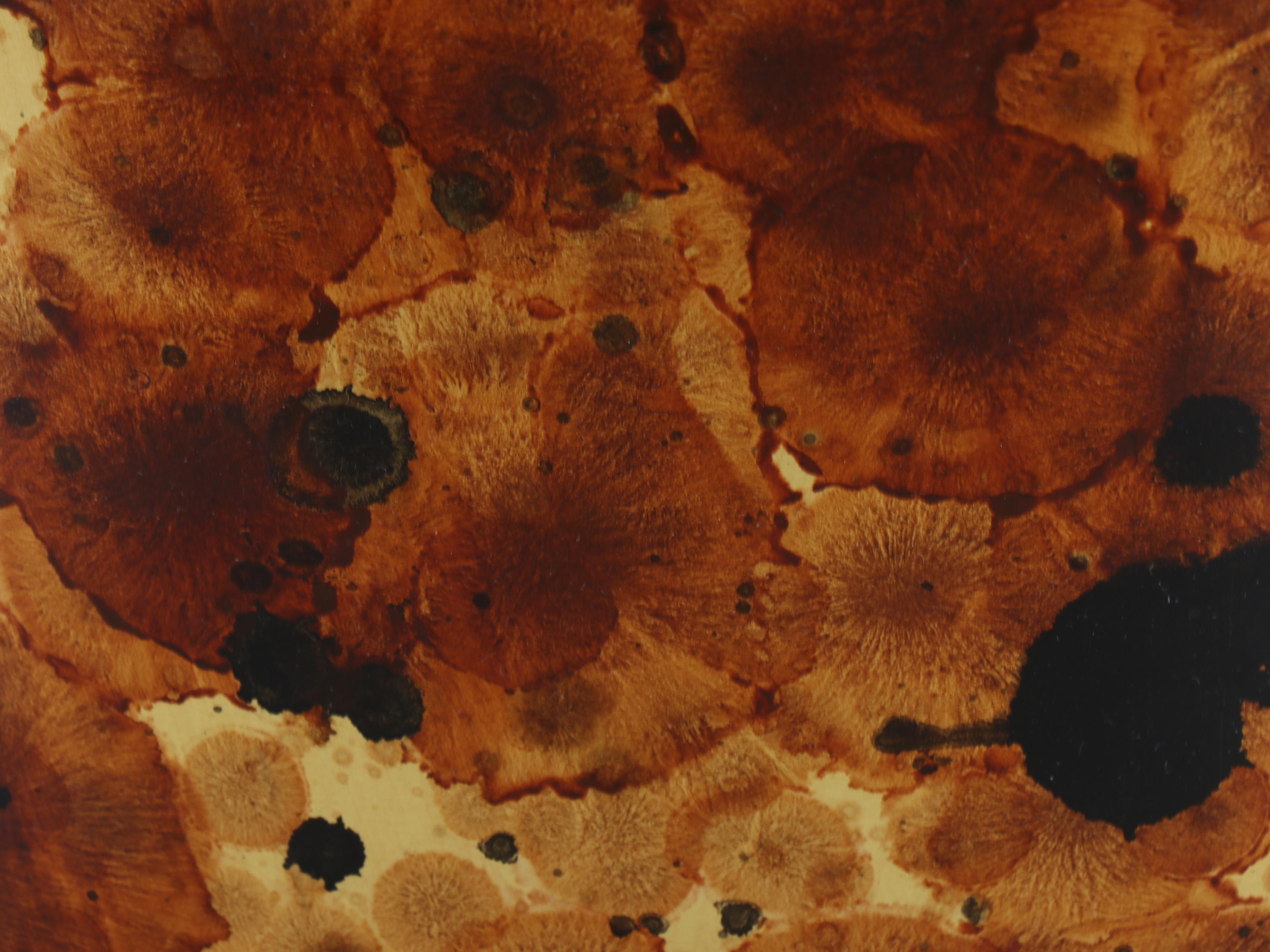 Vintage Tortoiseshell Pattern Lampshade Pair, Mid to Late 20th Century