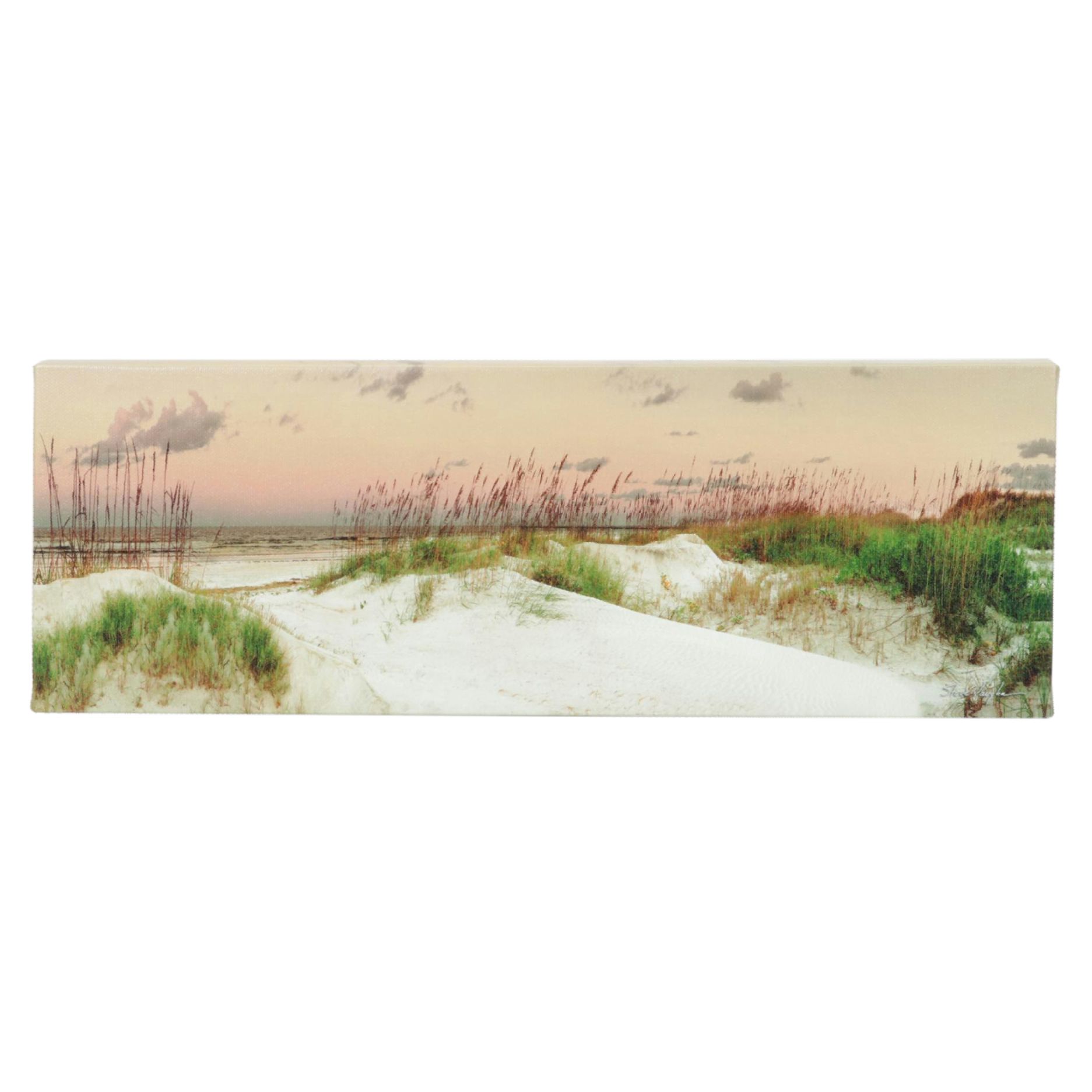 Steve Vaughn Panoramic Beach Scene Canvas Art Print Seascape