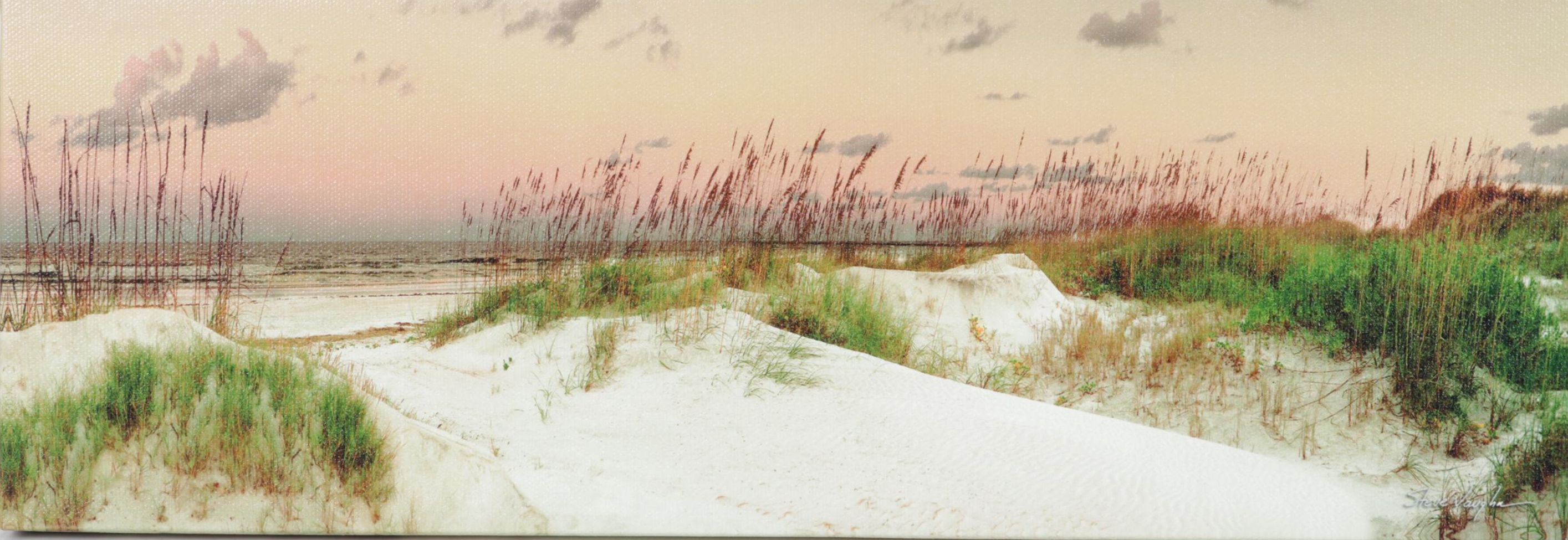 Steve Vaughn Panoramic Beach Scene Canvas Art Print Seascape