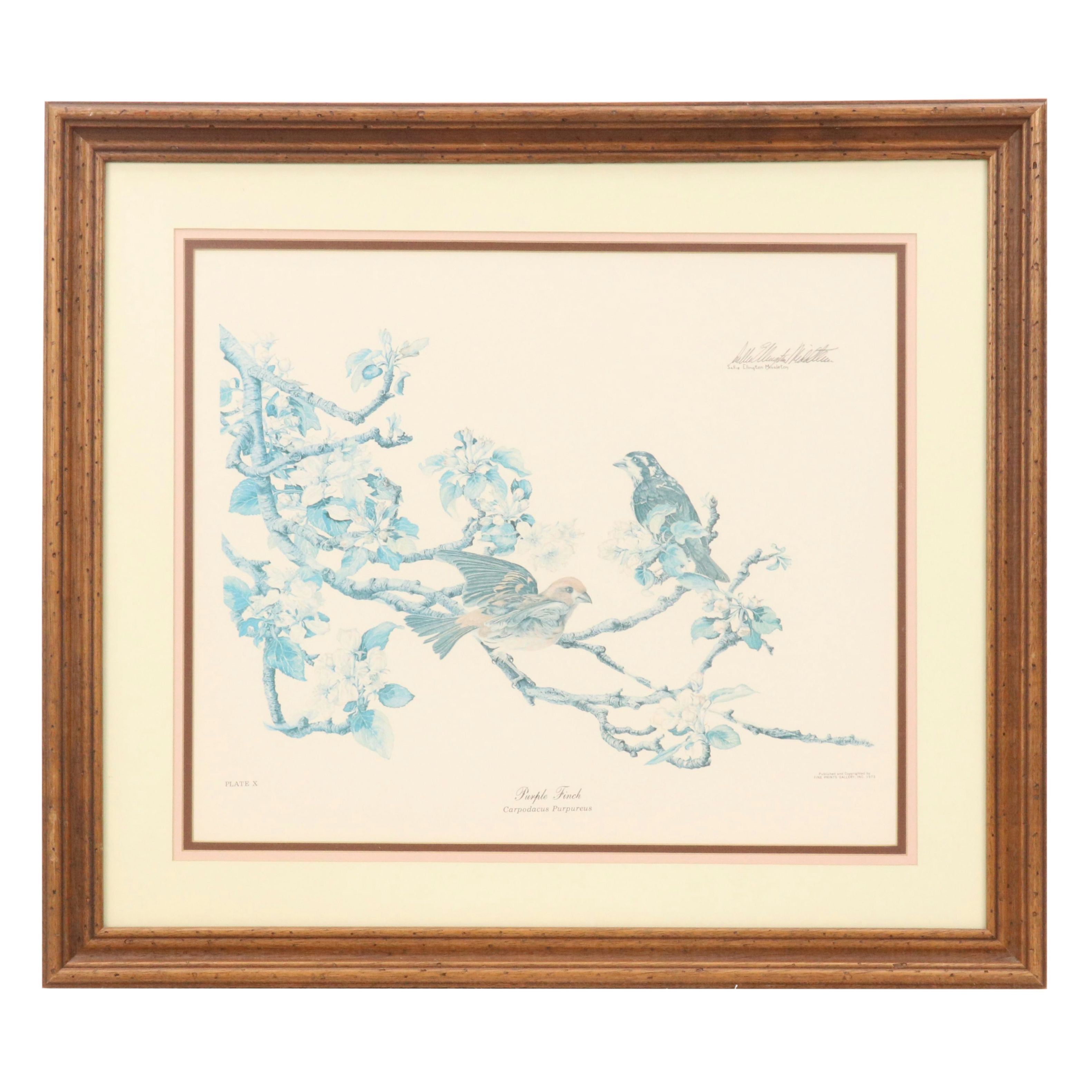 Sallie Ellington Middleton Offset Lithograph "Purple Finch," 1973