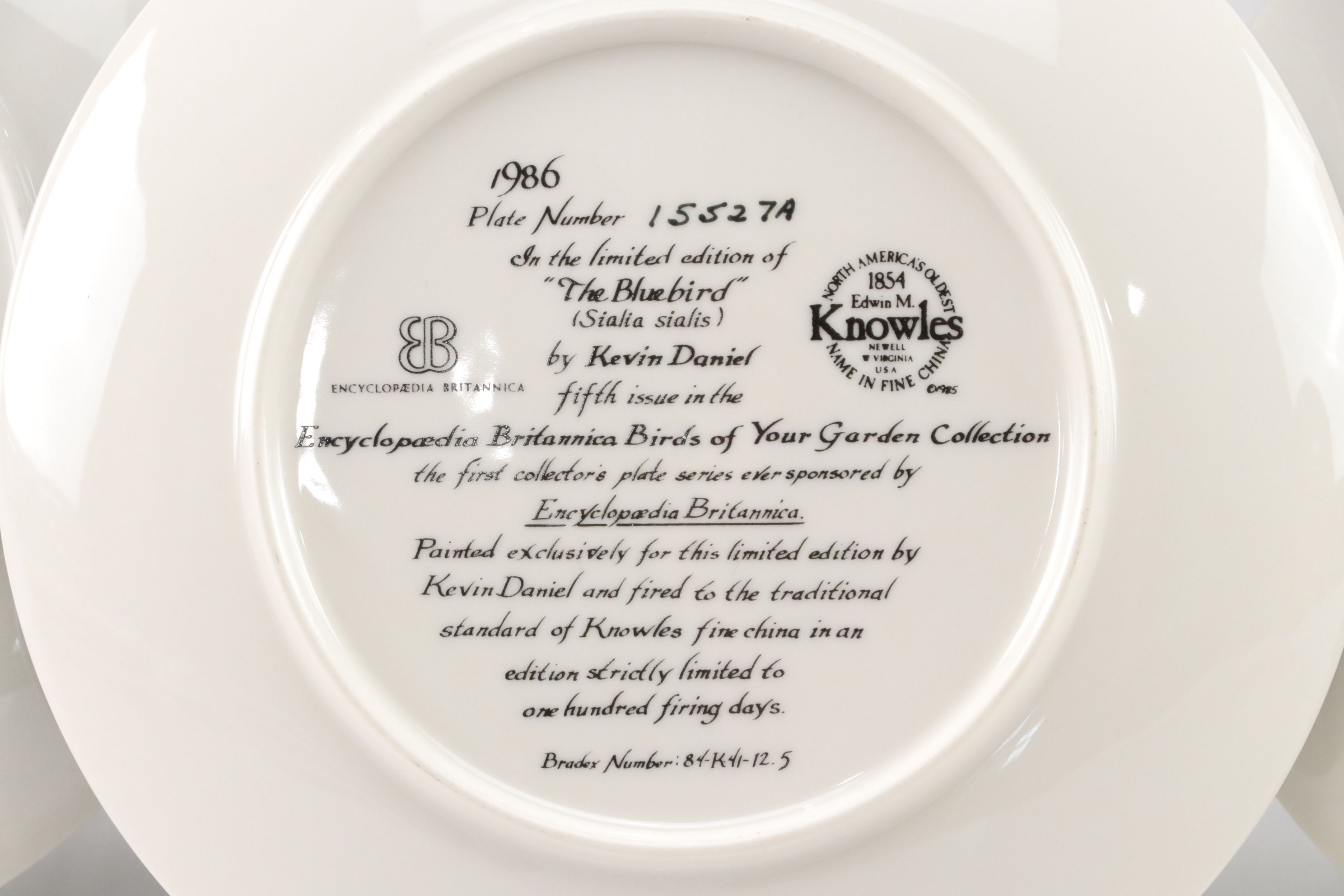 Kevin Daniel "Birds of Your Garden" and More Collector Plates, 1980s