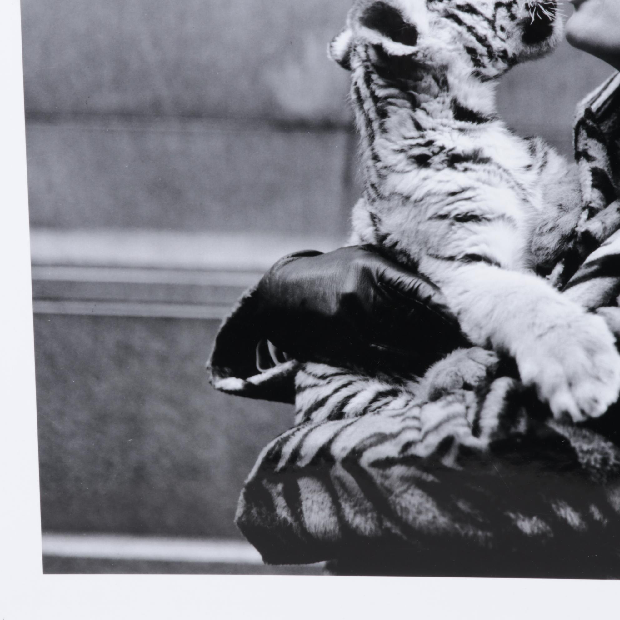 Central Press Archival Digital Photograph for National Airlines "Tiger Lady"