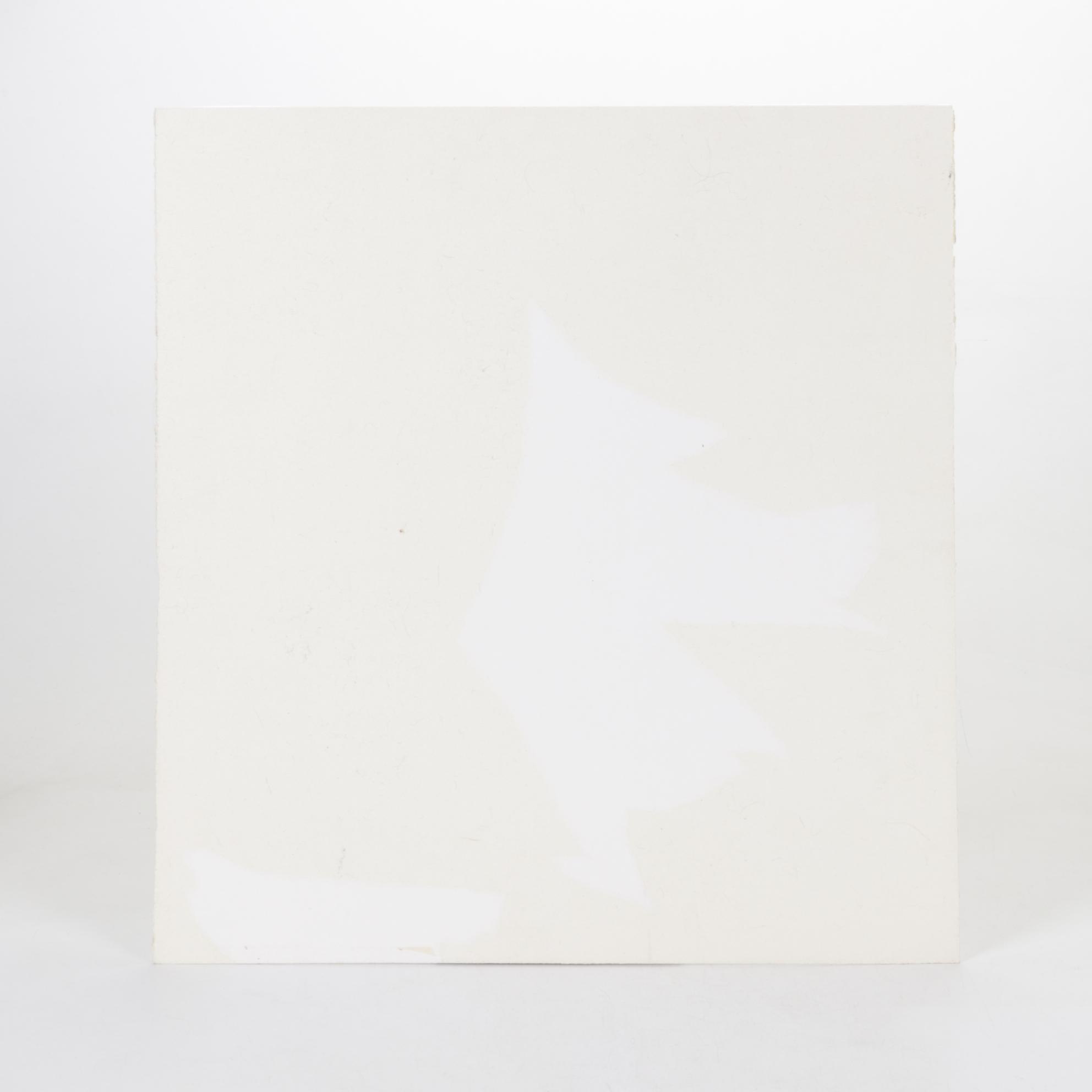 Central Press Archival Digital Photograph for National Airlines "Tiger Lady"