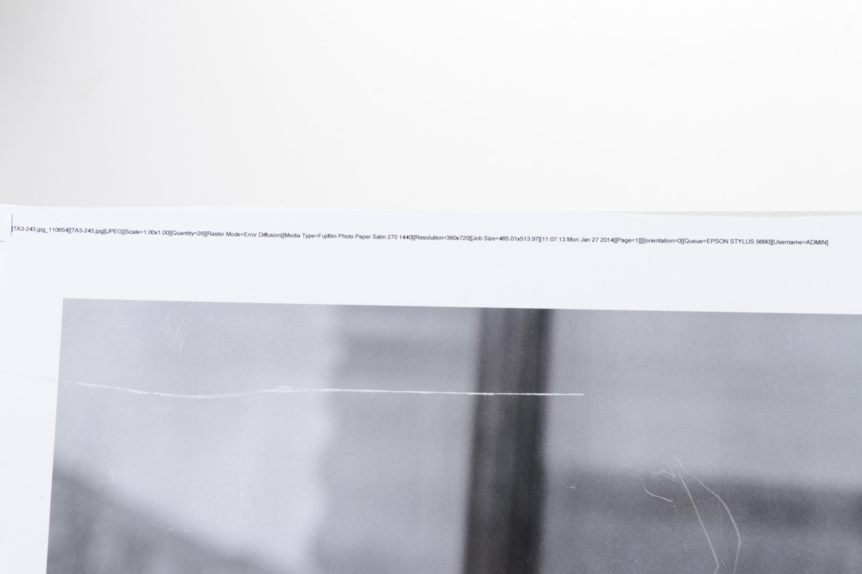 Central Press Archival Digital Photograph for National Airlines "Tiger Lady"